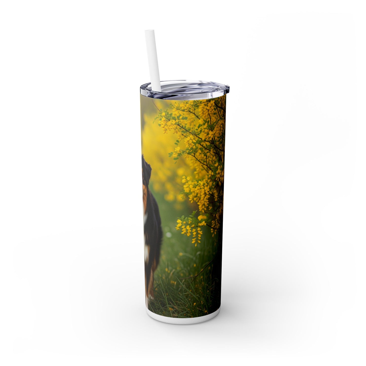 Australian Shepherd Skinny Tumbler with Straw, 20oz
