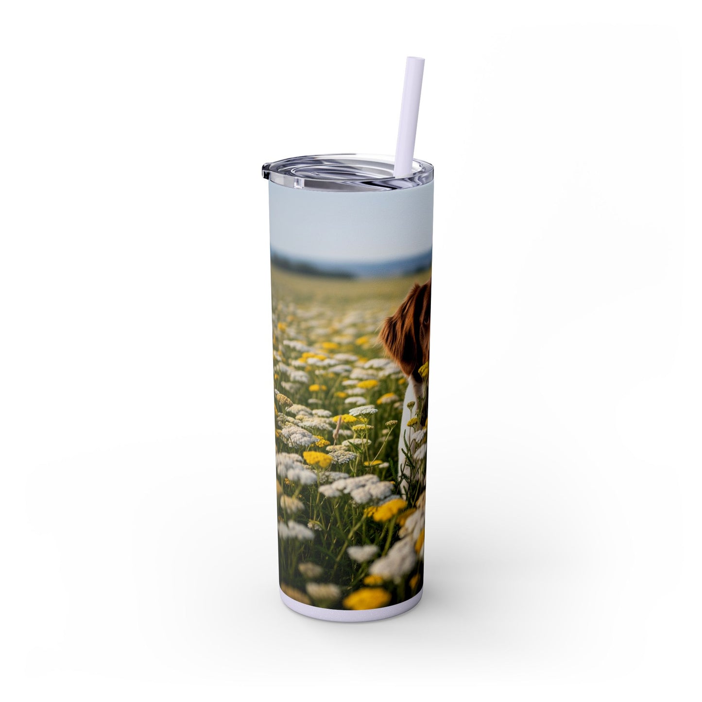 Drentsche Patrijshond Skinny Tumbler with Straw, 20oz