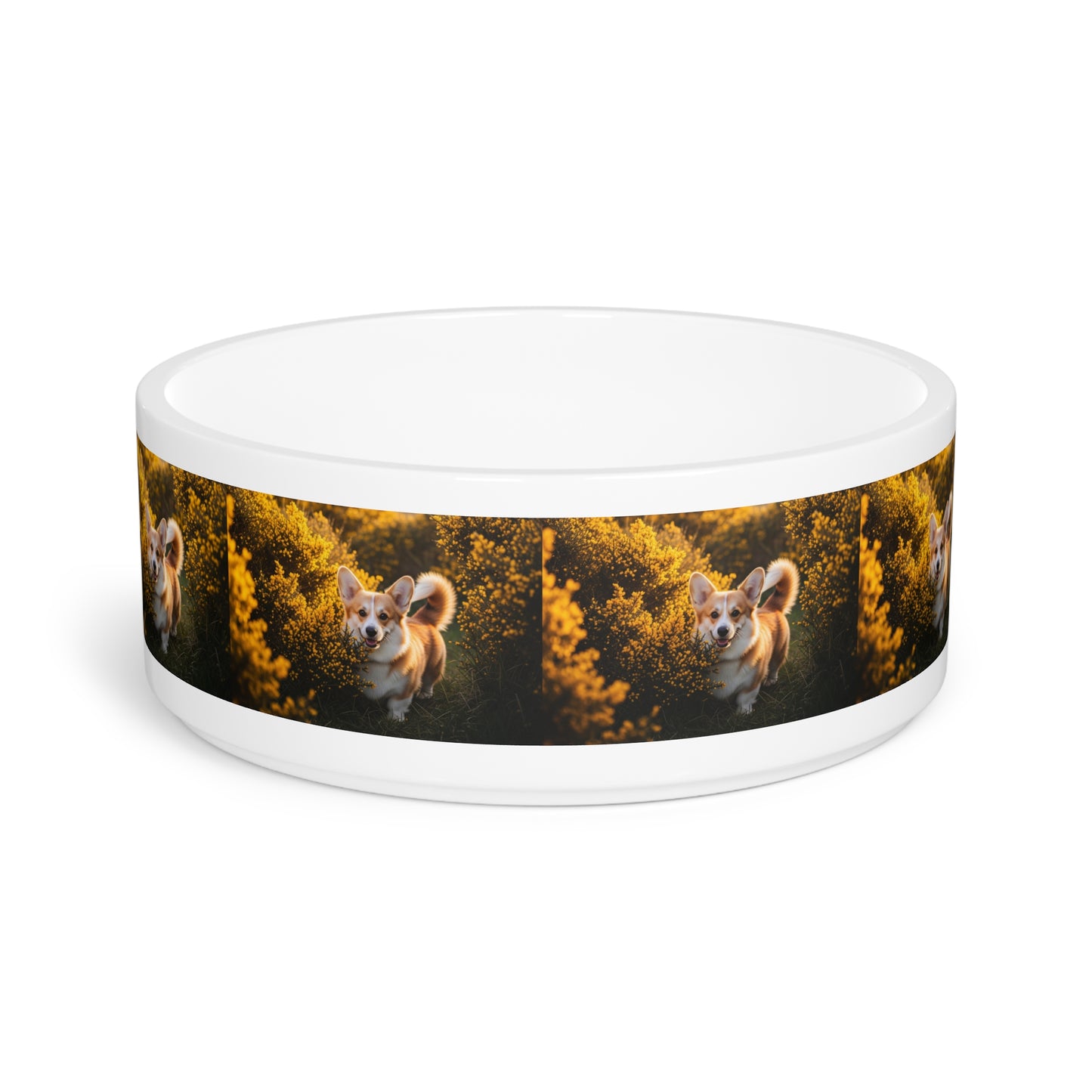 Pembroke Welsh Corgi Pet Bowl
