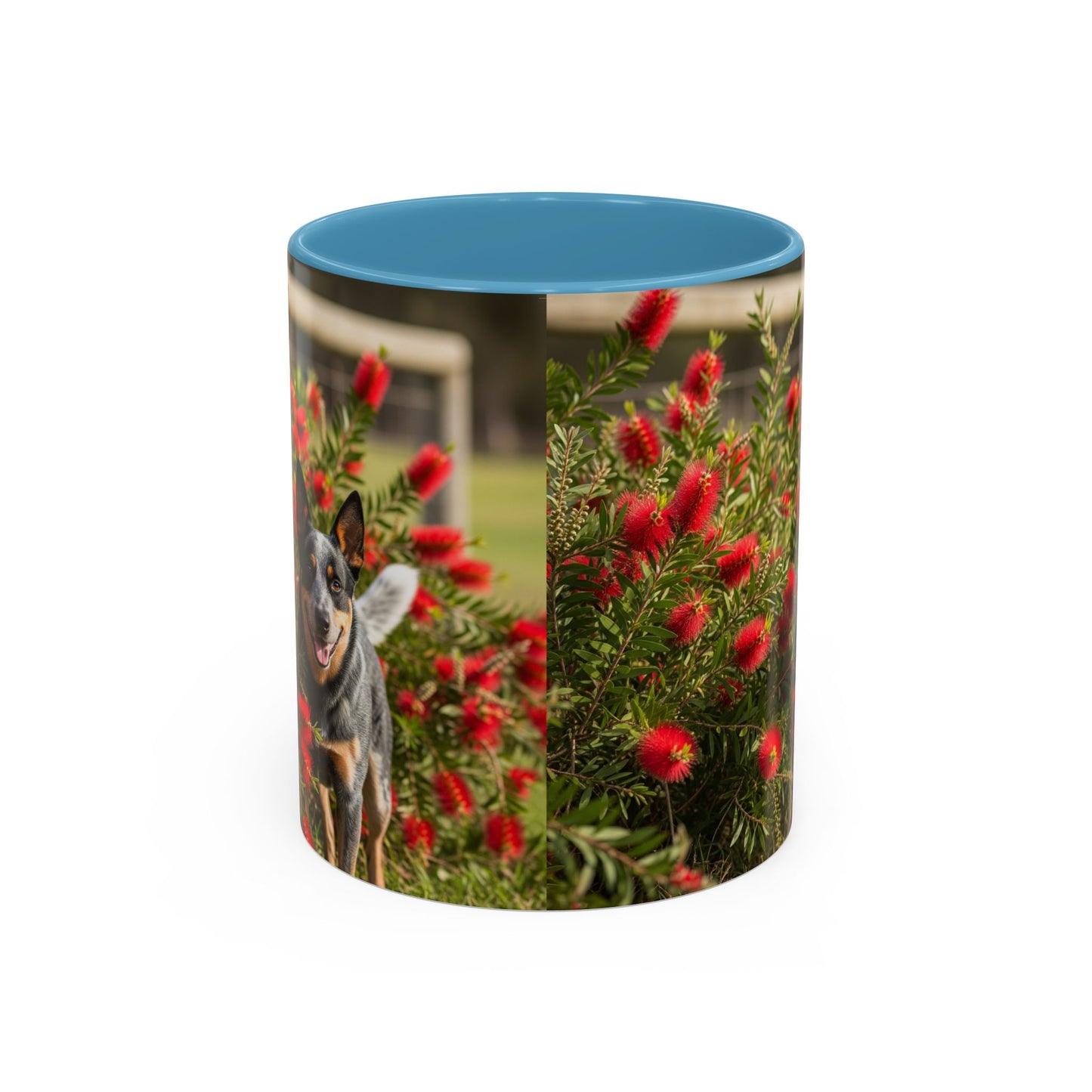 Australian Cattle Dog Accent Coffee Mug - Perfect Gift for Dog Lovers