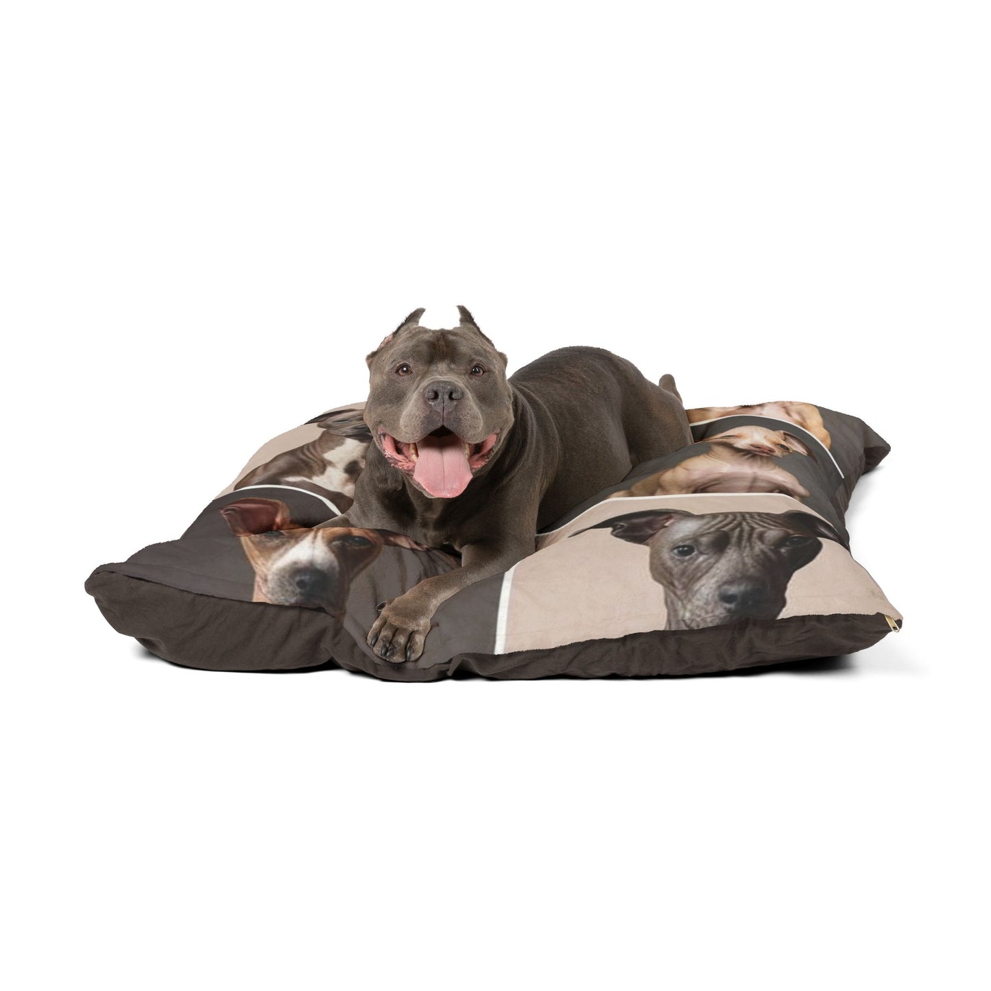 Hairless Dogs Pet Bed