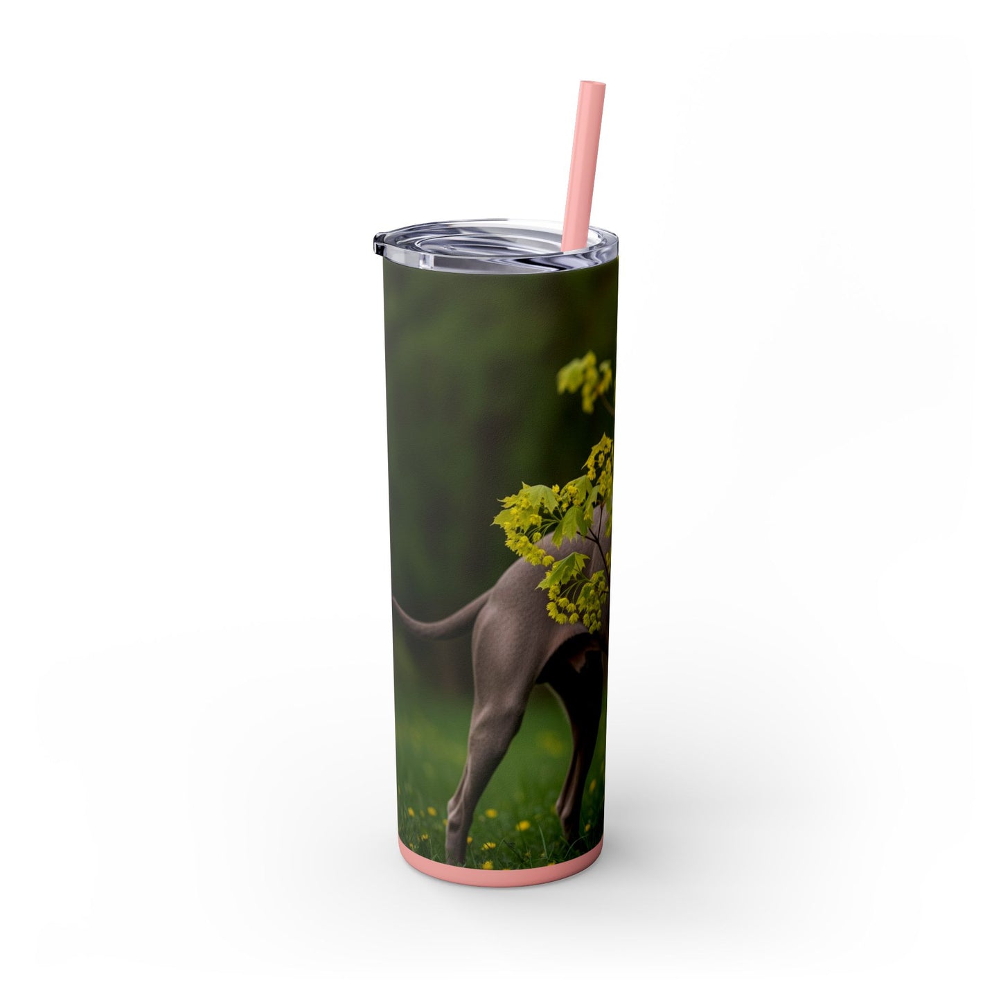 Weimaraner Skinny Tumbler with Straw, 20oz