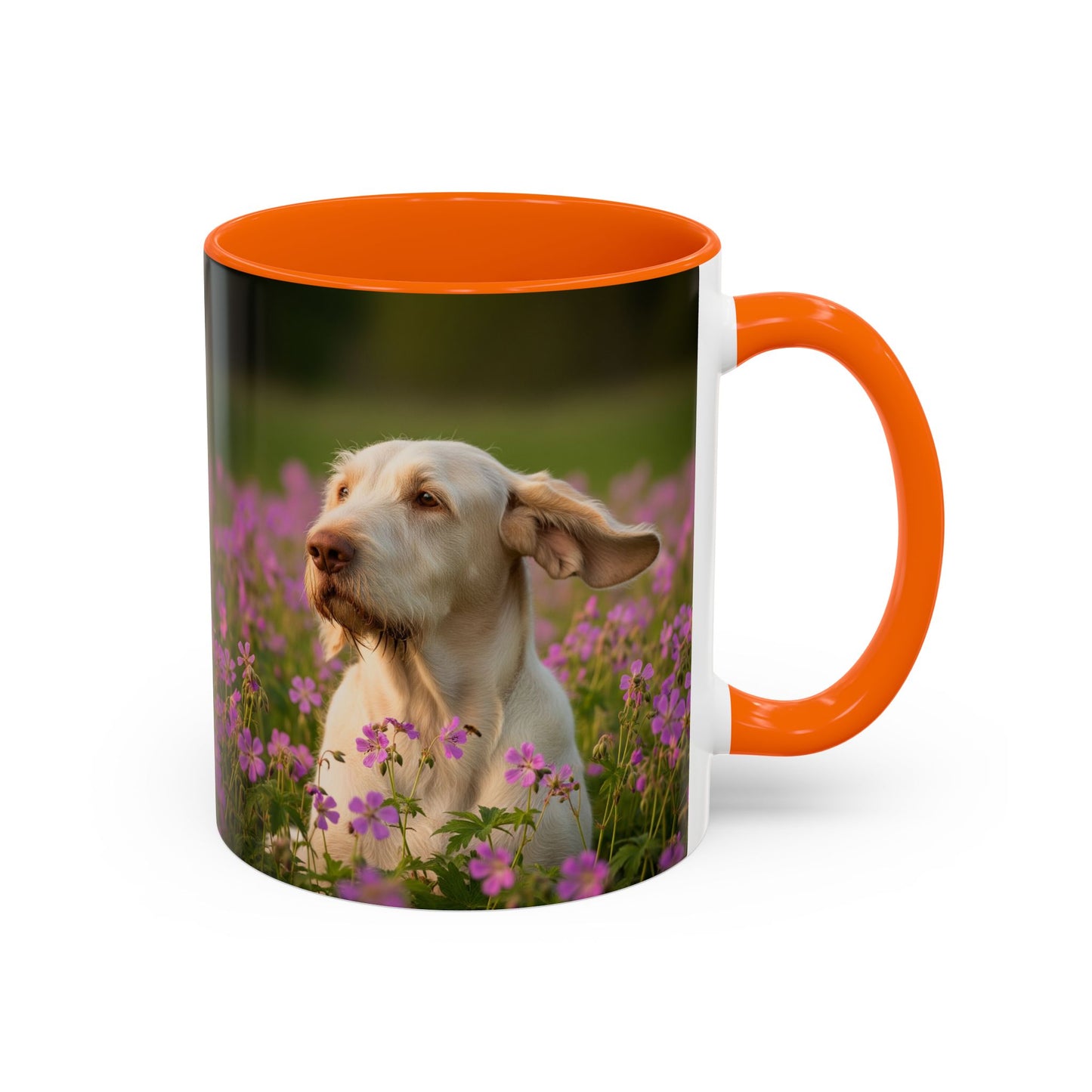Spinone Italiano Accent Coffee Mug - Perfect Gift for Dog Lovers