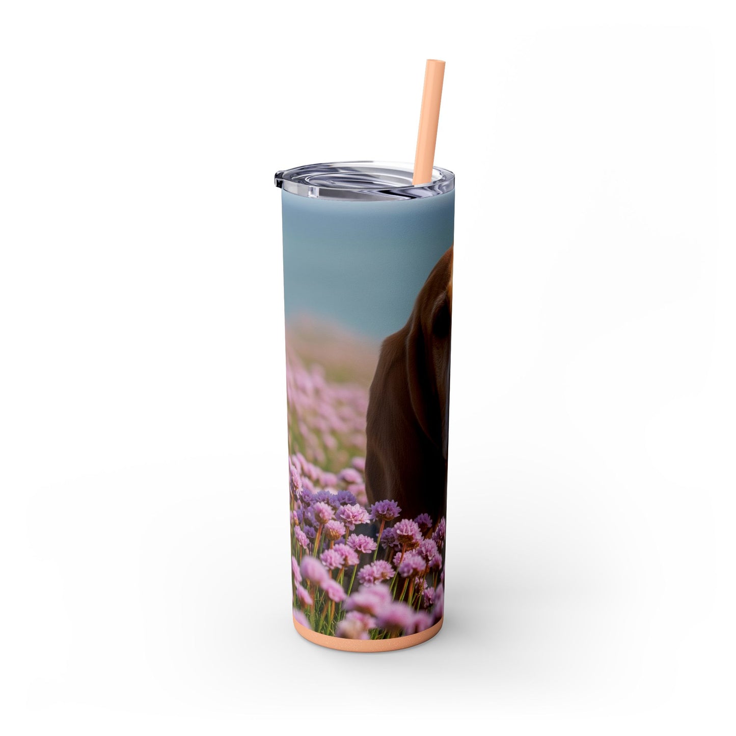 Basset Fauve de Bretagne Skinny Tumbler with Straw, 20oz