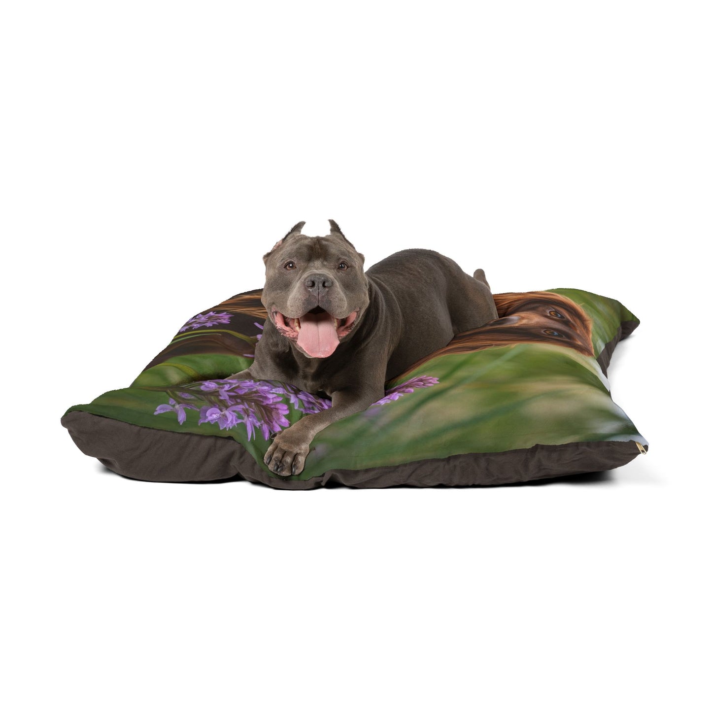 Pont-Audemer Spaniel Pet Bed