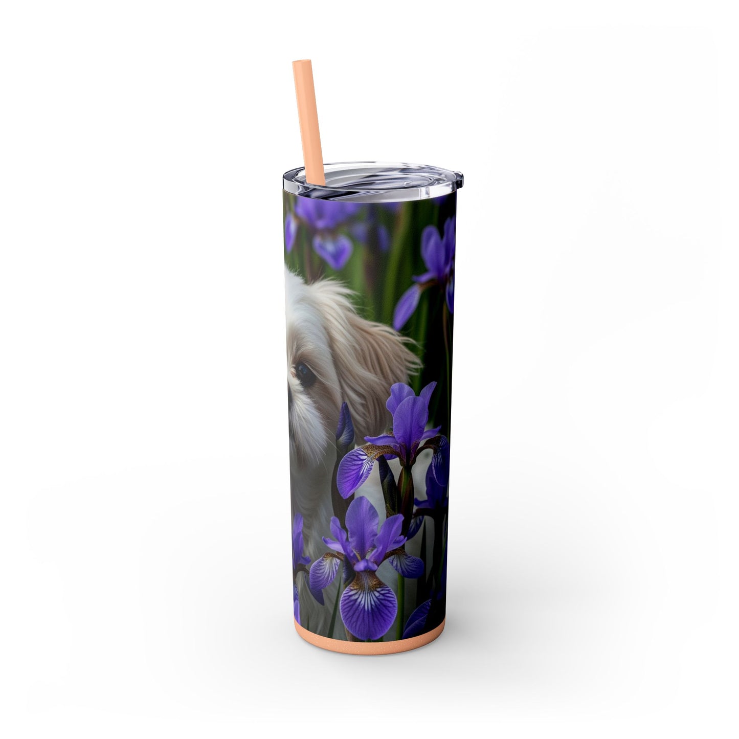 Shihchon Tumbler with Straw, 20oz