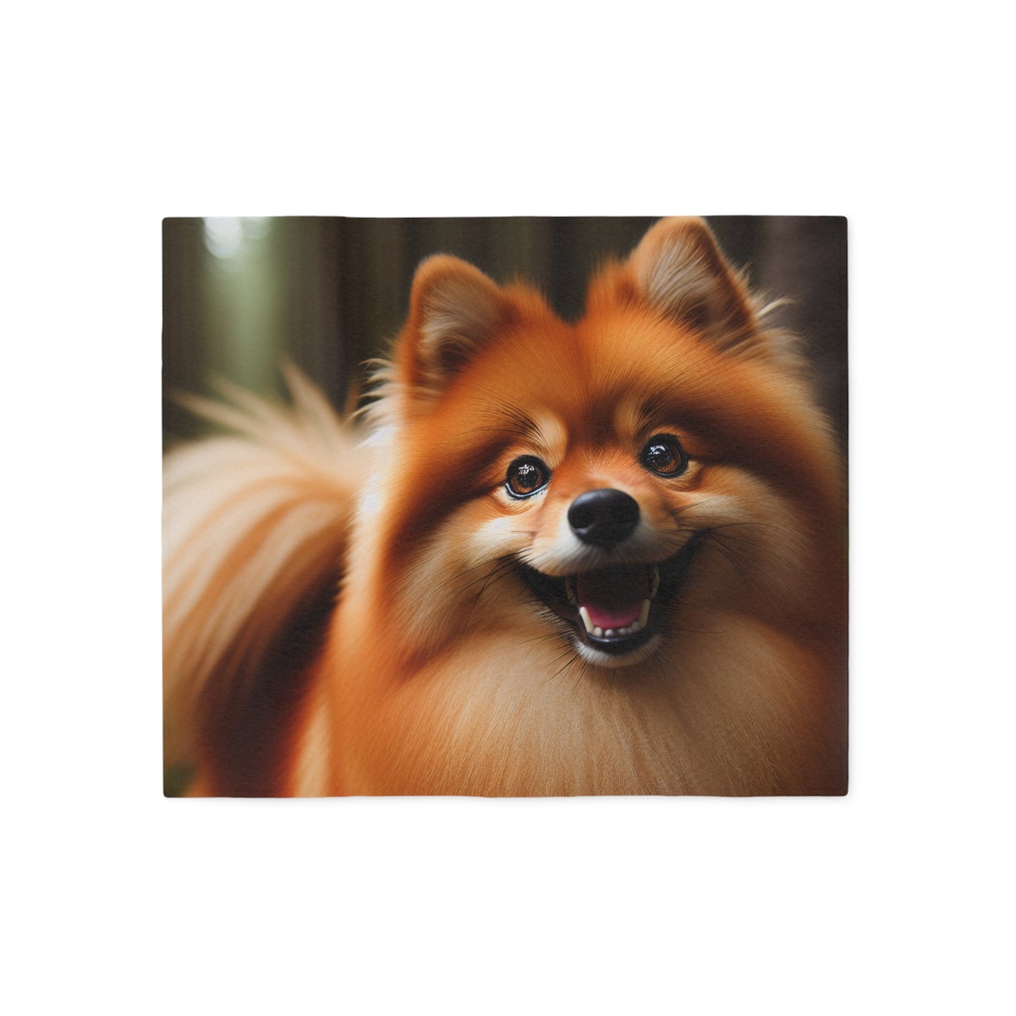 Finnish Spitz Sweatshirt Blanket