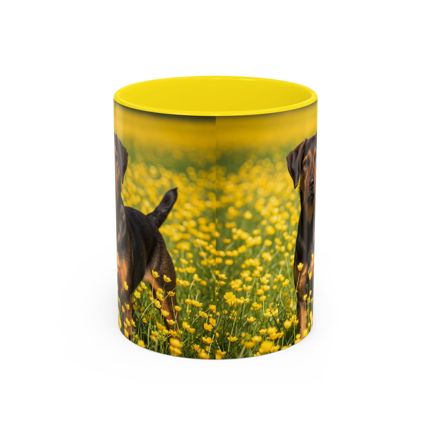 Drever Accent Coffee Mug - Perfect Gift for Dog Lovers
