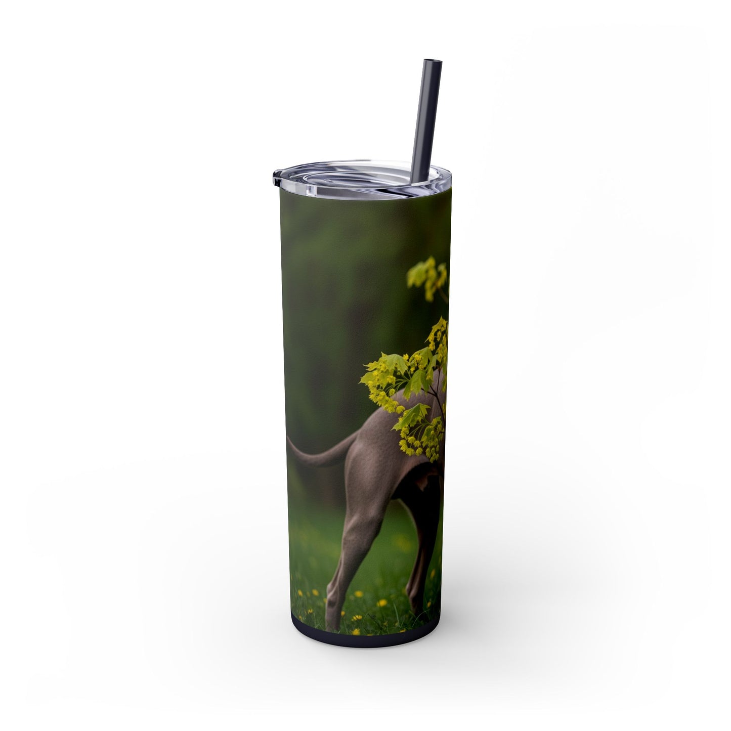 Weimaraner Skinny Tumbler with Straw, 20oz