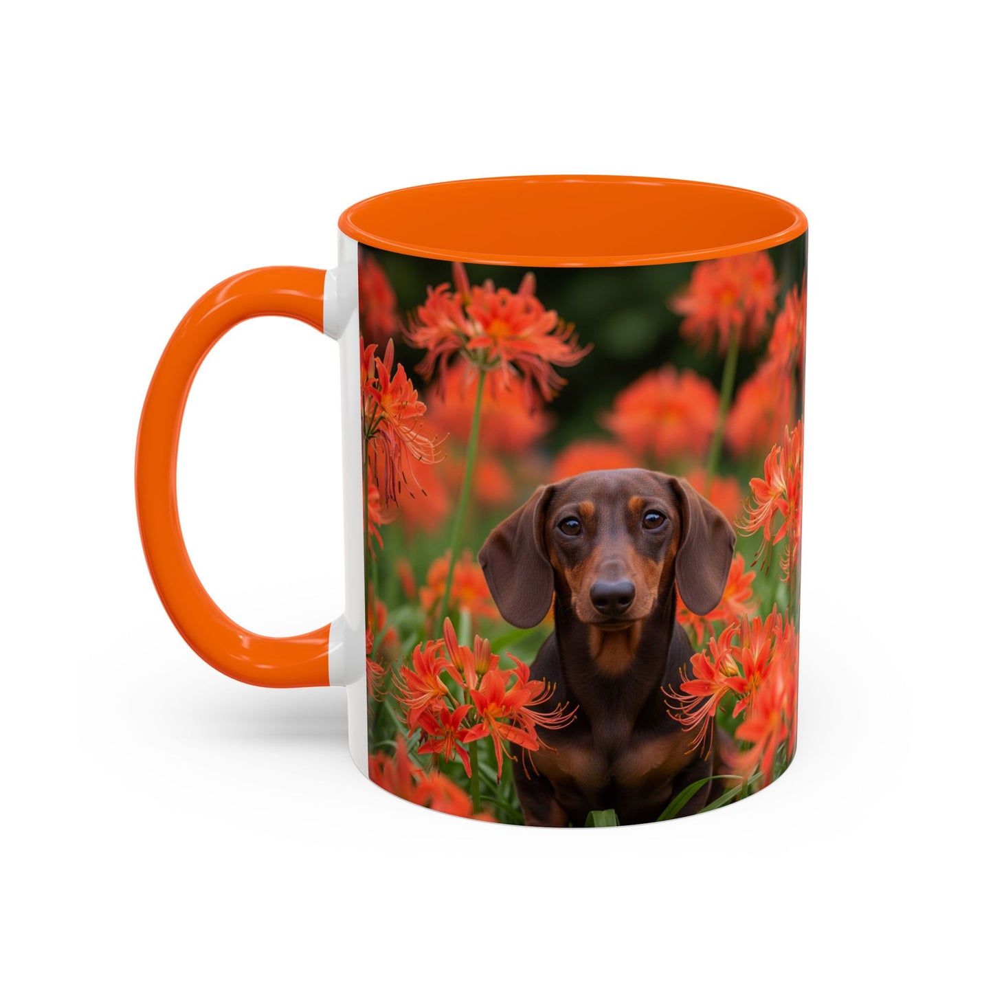 Dachshund Accent Coffee Mug - Perfect Gift for Dog Lovers