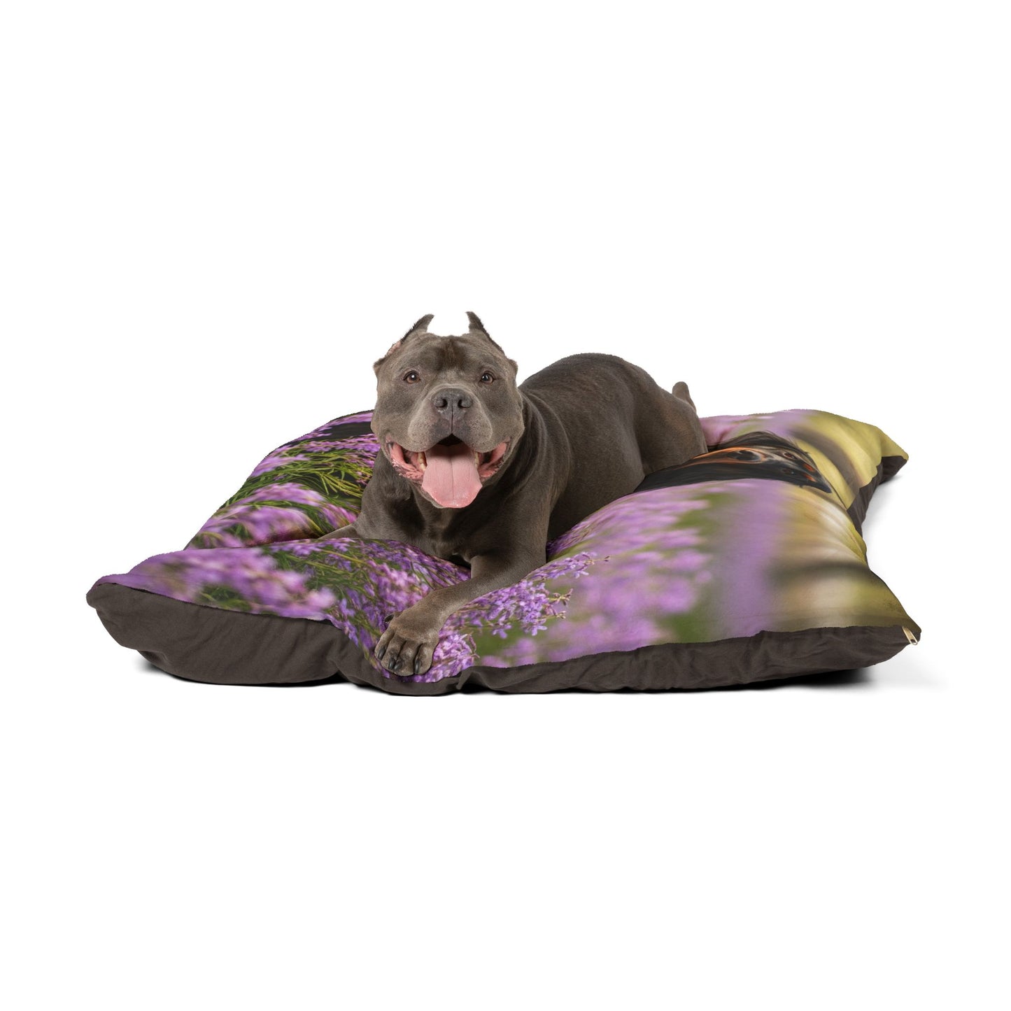 Gordon Setter Pet Bed