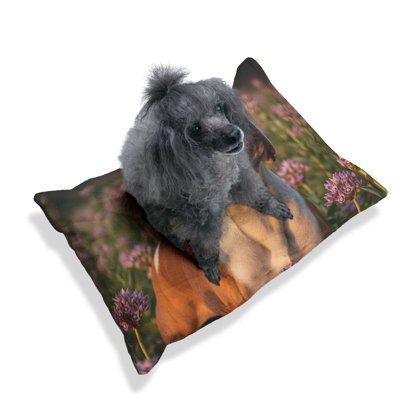 Gull Dong Pet Bed
