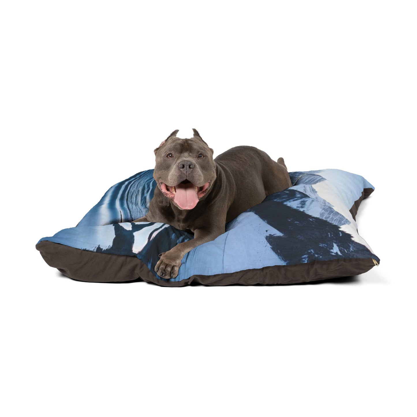 Ripple in a Snowy Mountain Lake Pet Bed