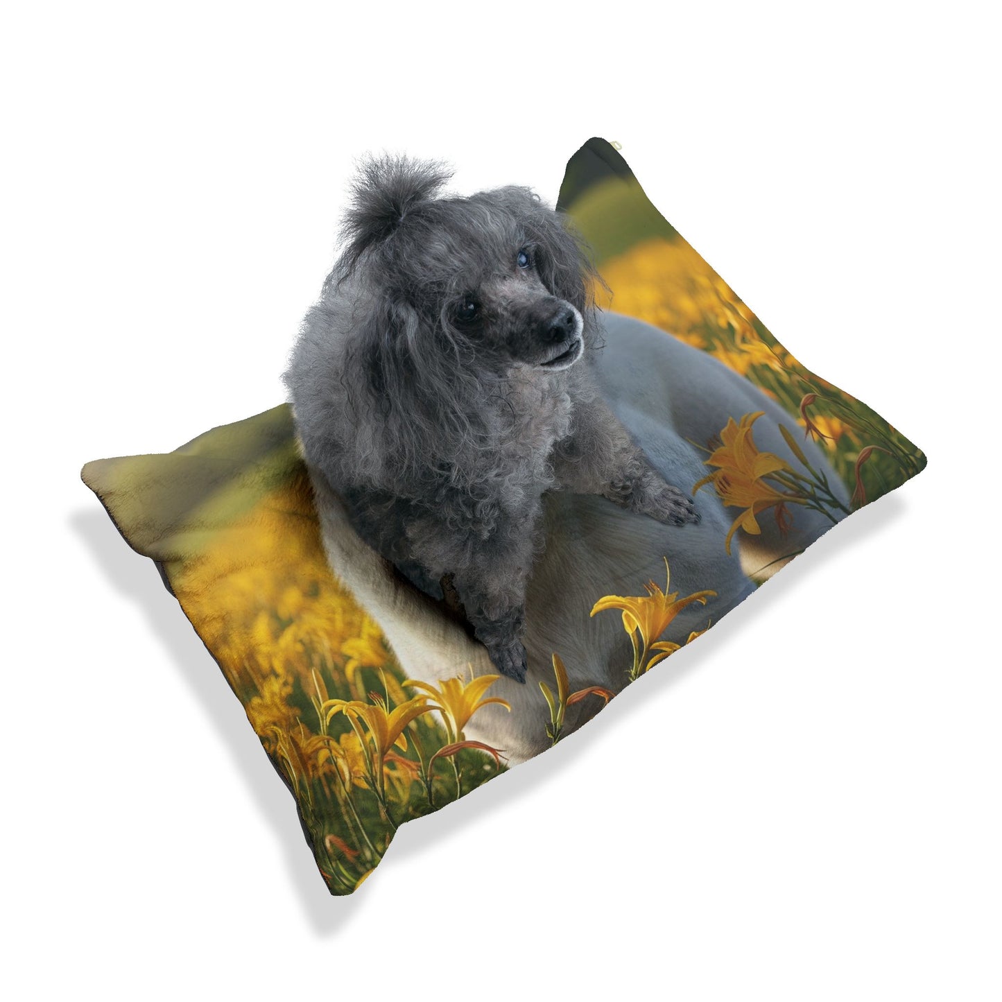 Tornjak Pet Bed
