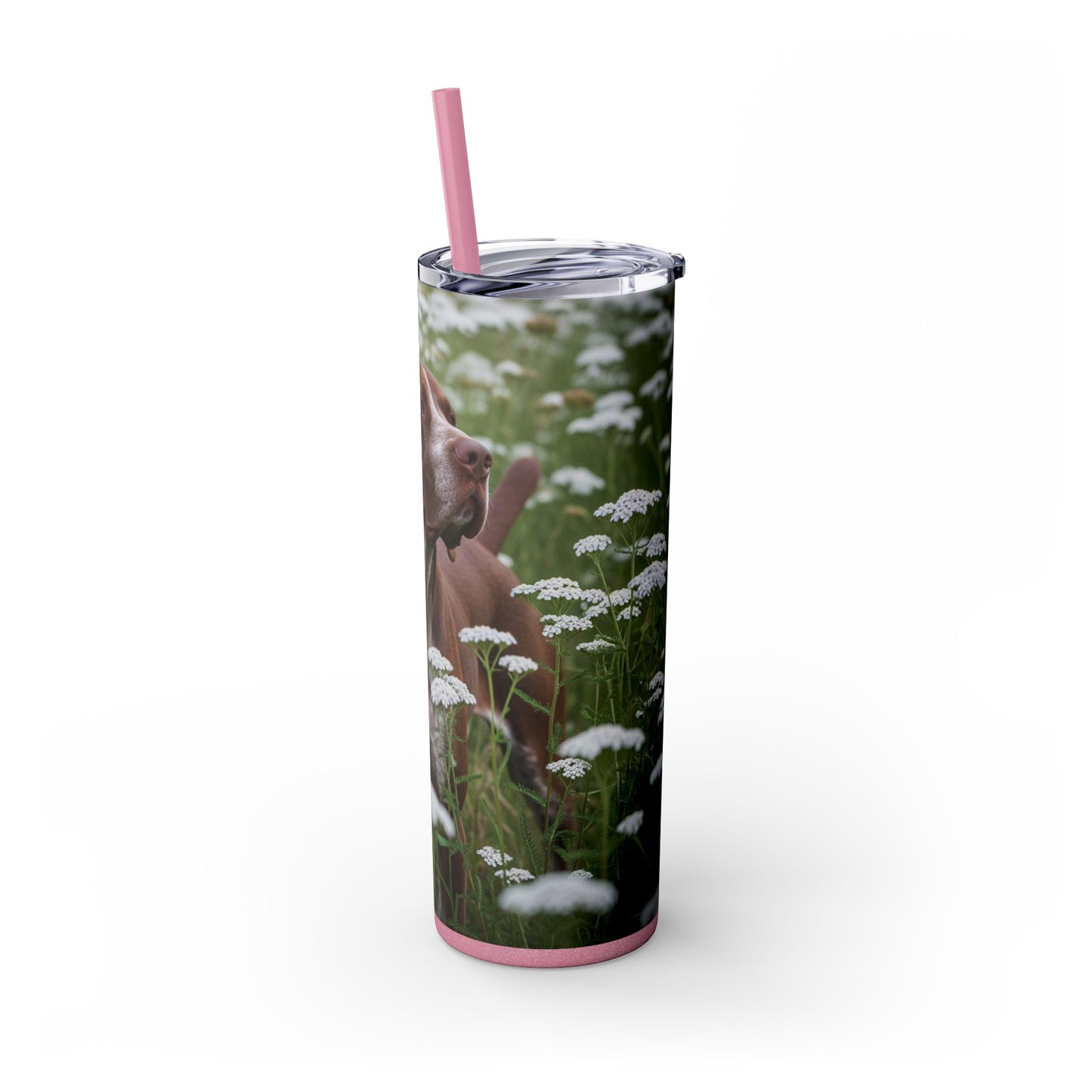 Braque du Bourbonnais Tumbler with Straw, 20oz