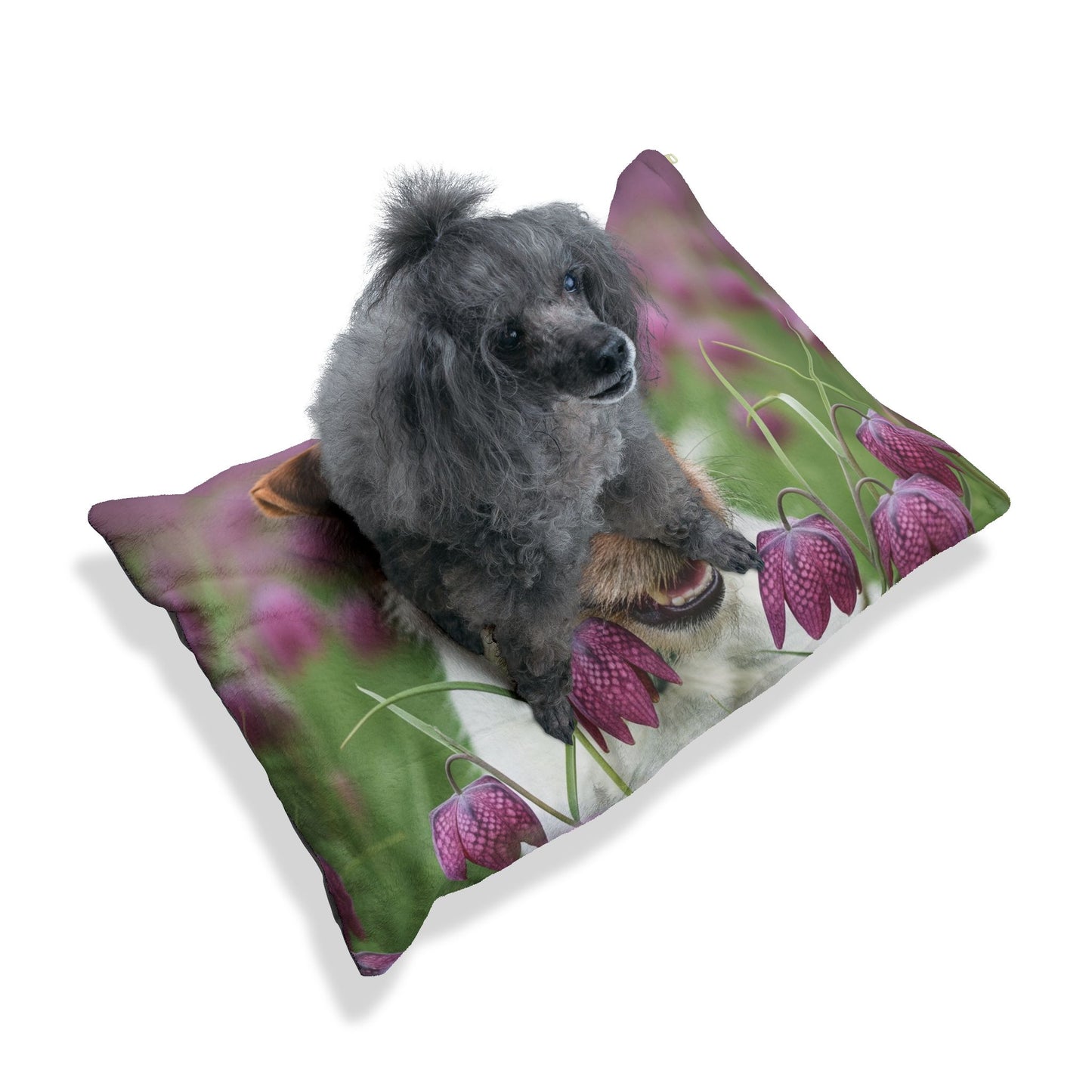 Russell Terrier Pet Bed