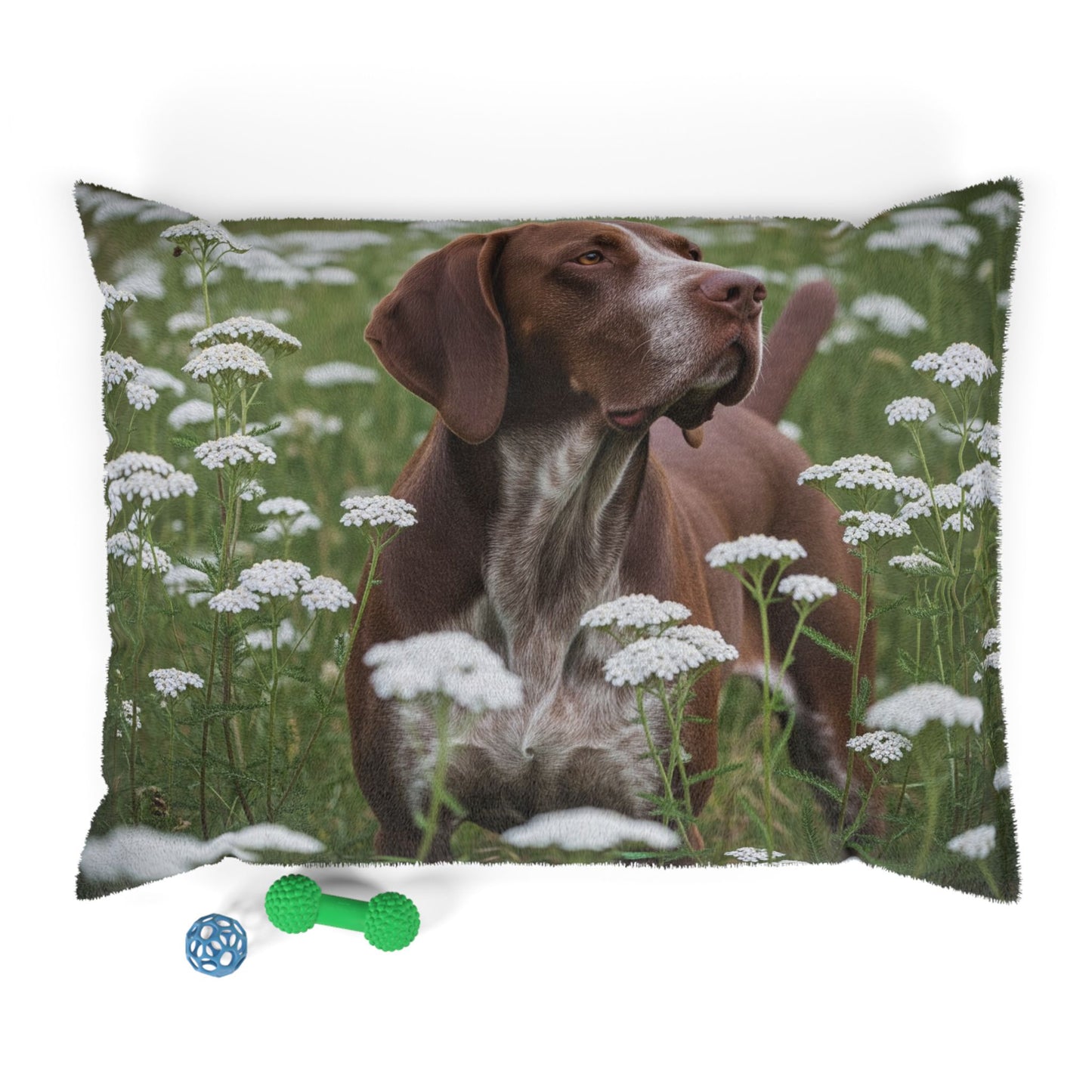 Braque du Bourbonnais Pet Bed