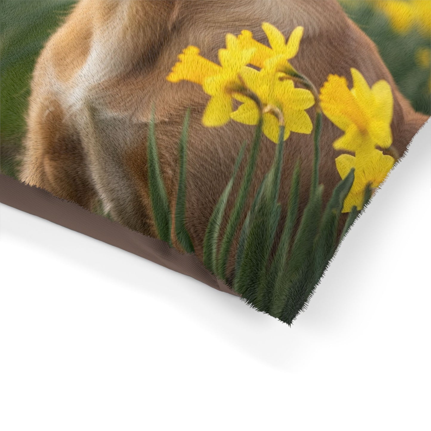 Portuguese Podengo Pequeno Pet Bed