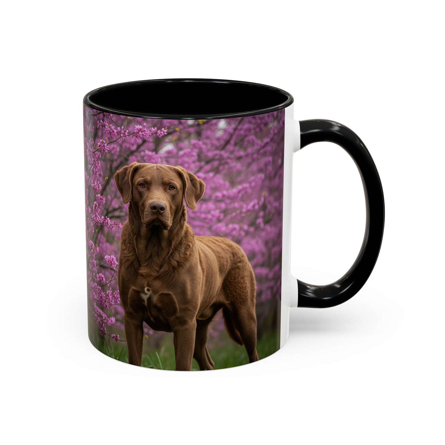 Chesapeake Bay Retriever Accent Coffee Mug - Perfect Gift for Dog Lovers