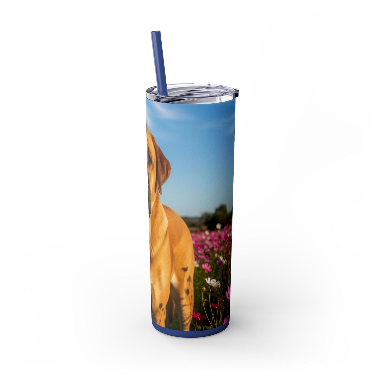 Spanish Mastiff Skinny Tumbler with Straw, 20oz