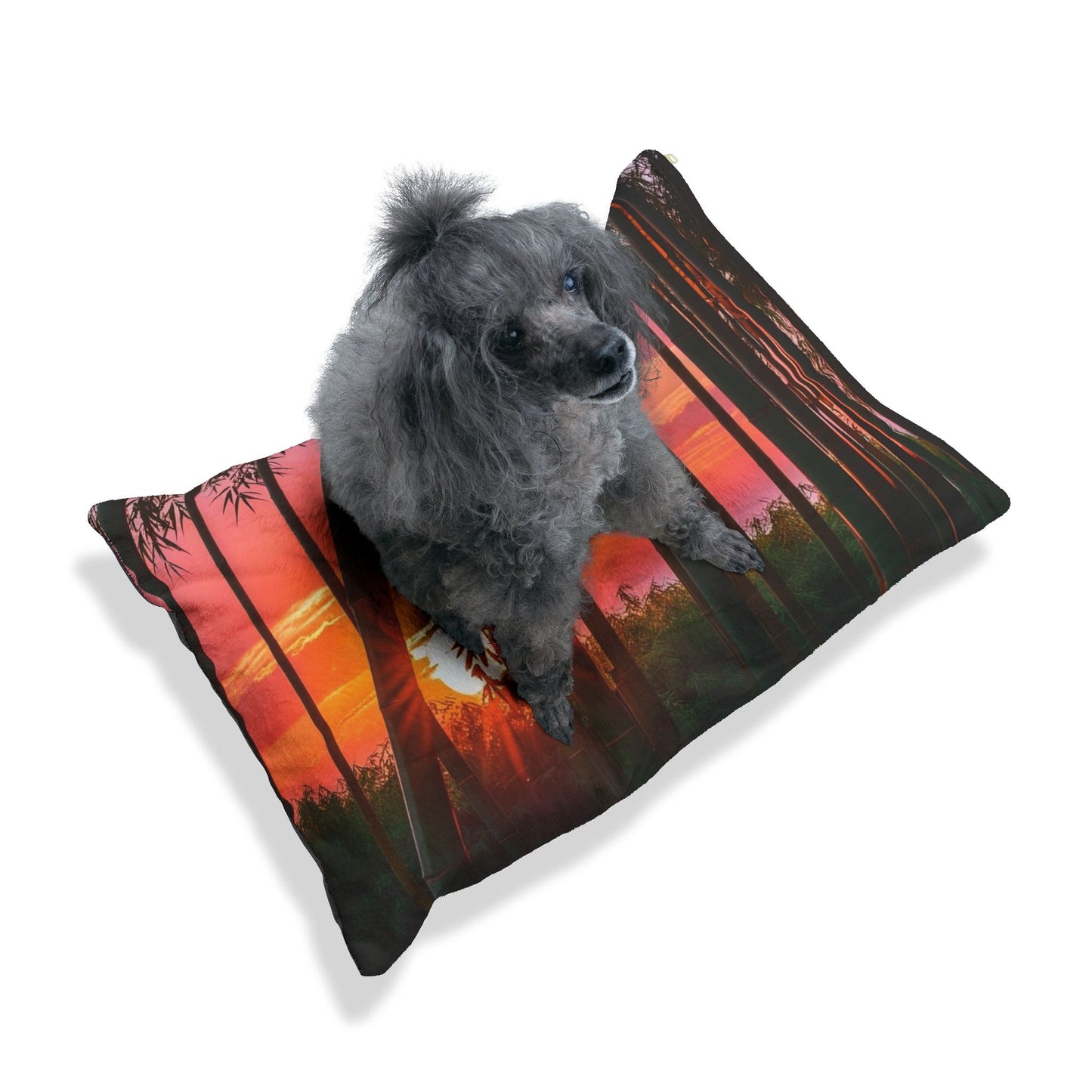 Bamboo Forest Sunrise Pet Bed