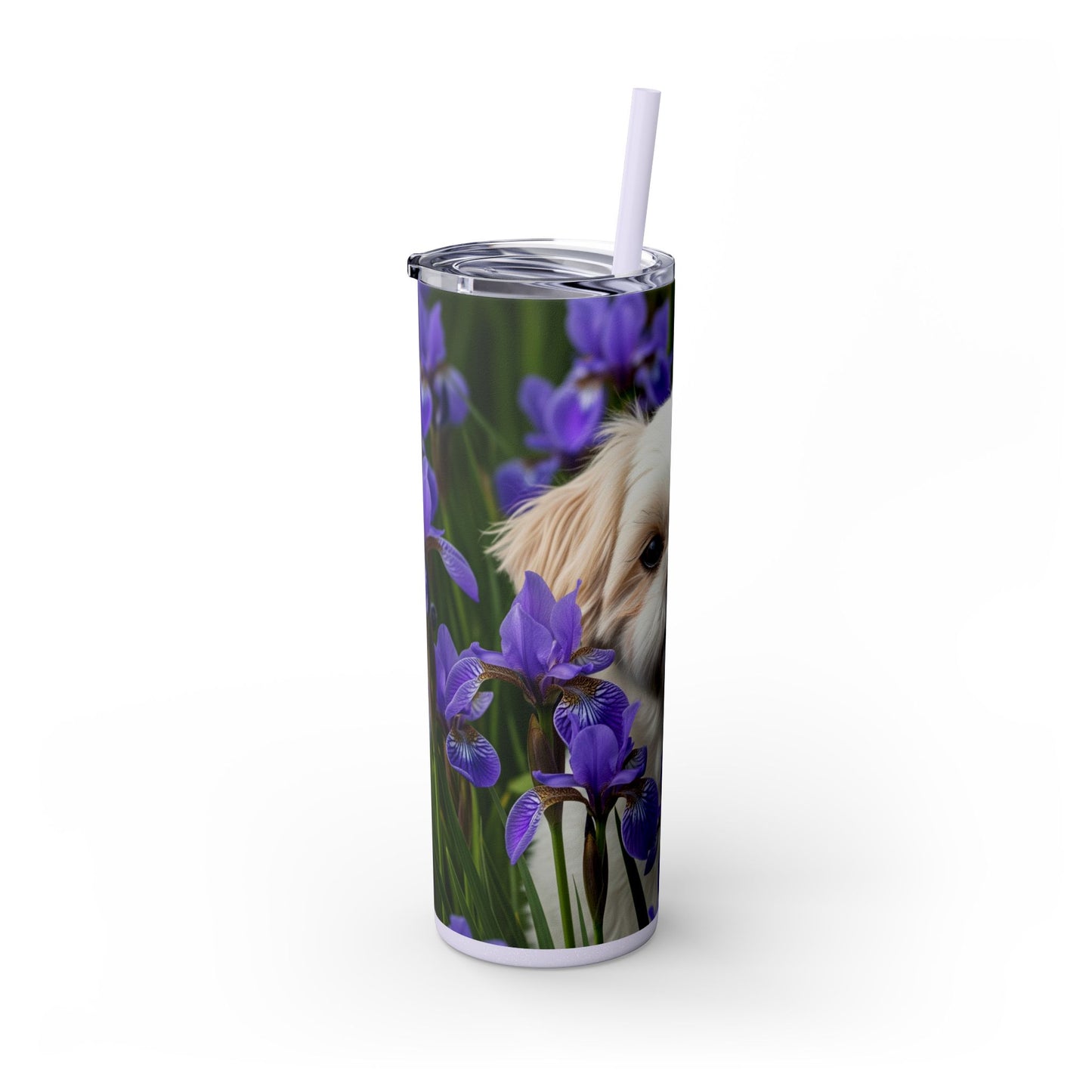 Shihchon Tumbler with Straw, 20oz