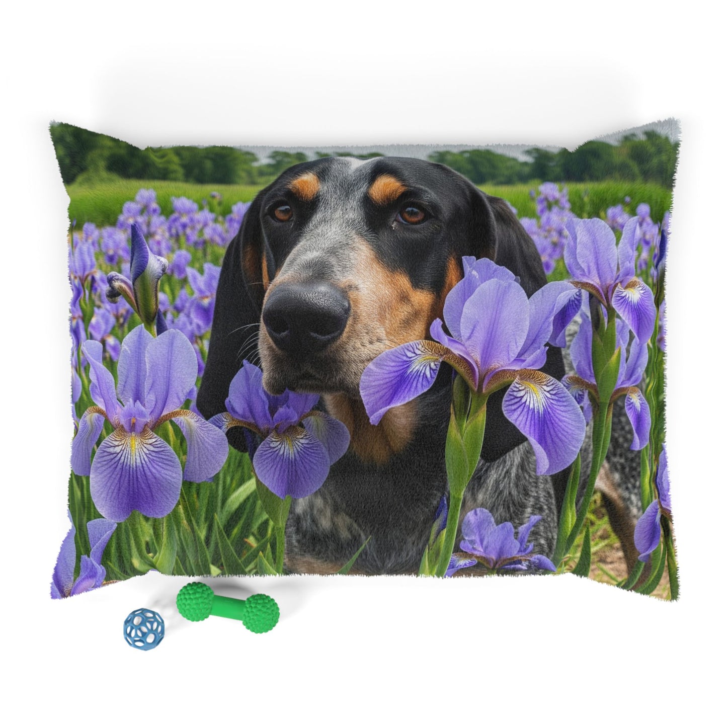 Bluetick Coonhound Pet Bed