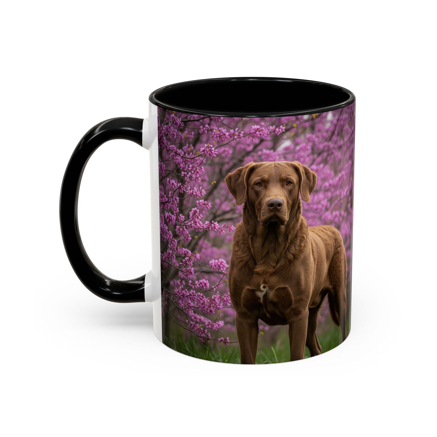 Chesapeake Bay Retriever Accent Coffee Mug - Perfect Gift for Dog Lovers