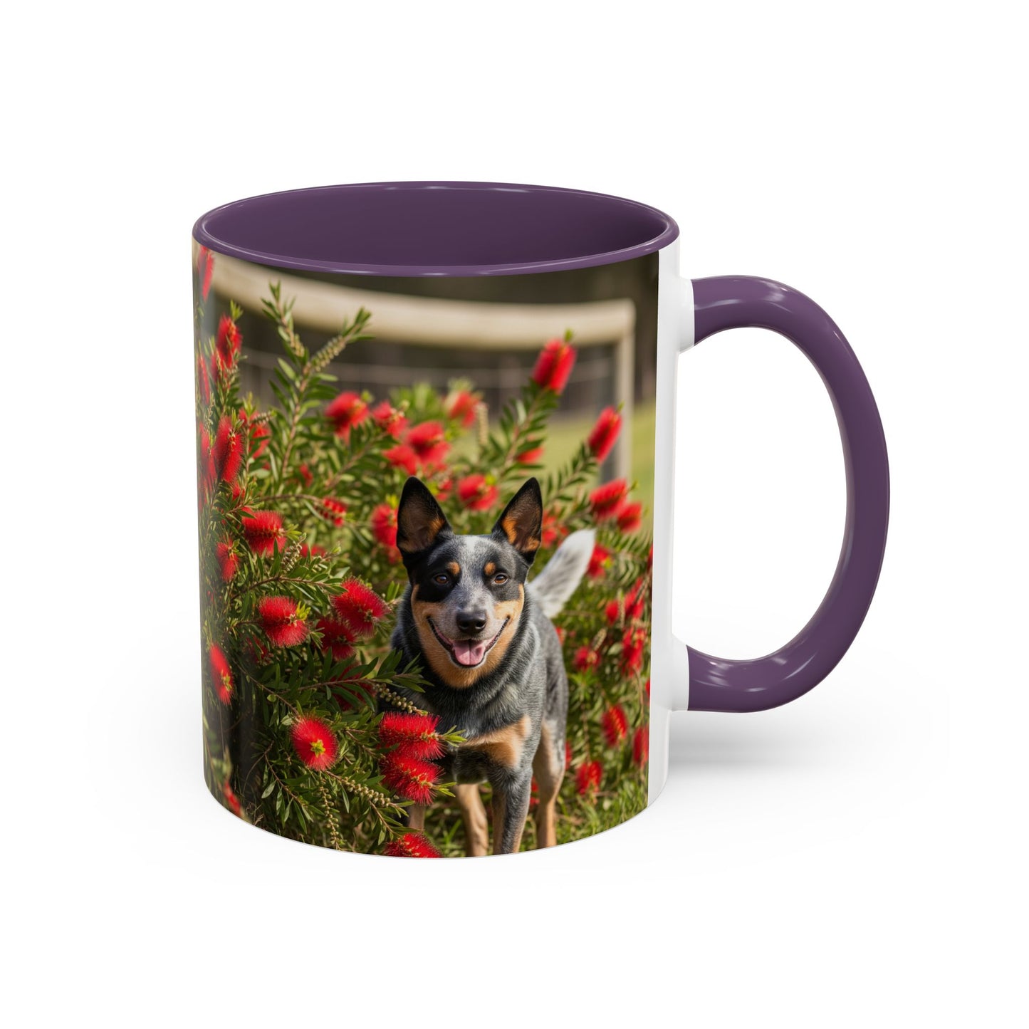 Australian Cattle Dog Accent Coffee Mug - Perfect Gift for Dog Lovers
