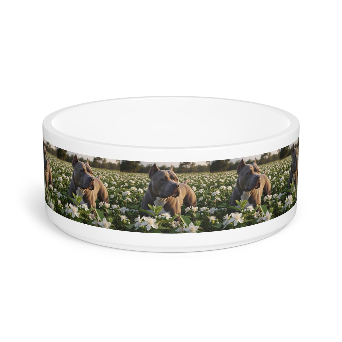 Bully Kutta Pet Bowl