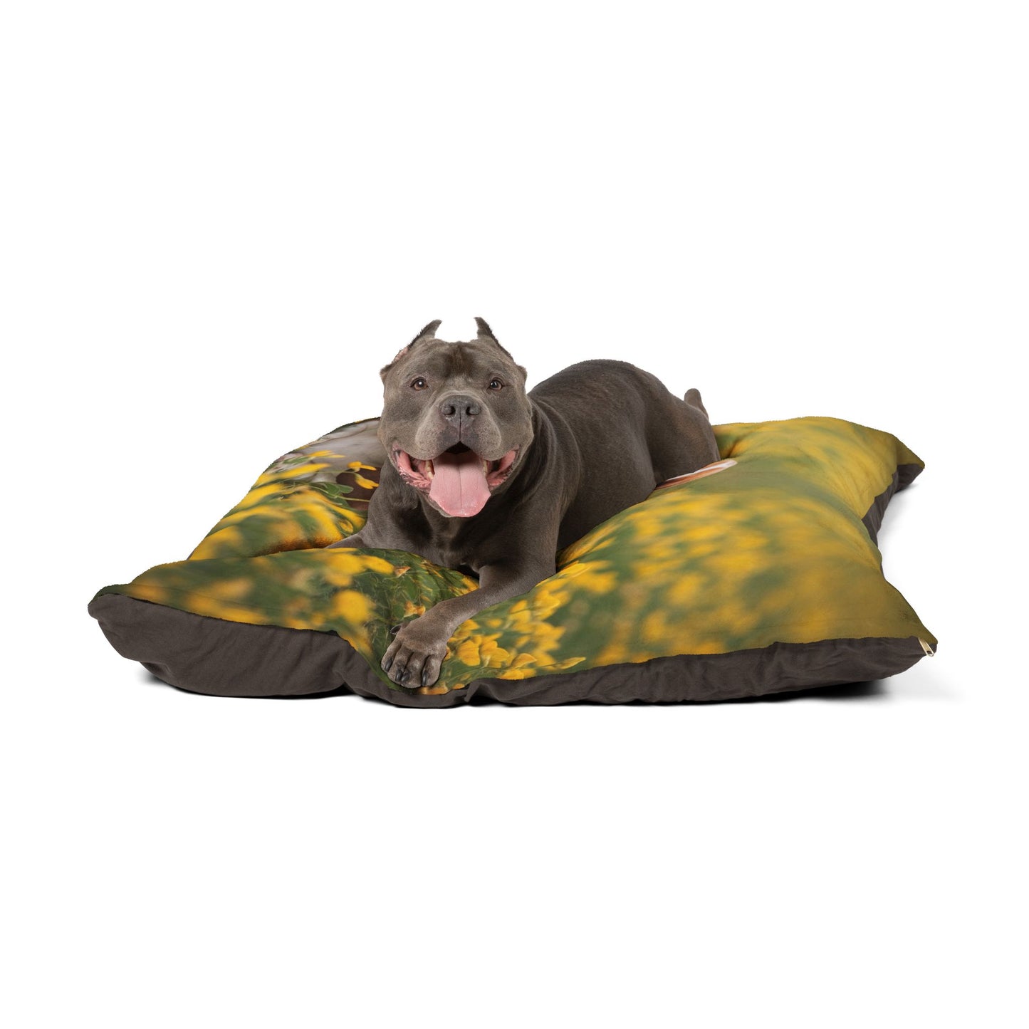 Basset Hound Pet Bed