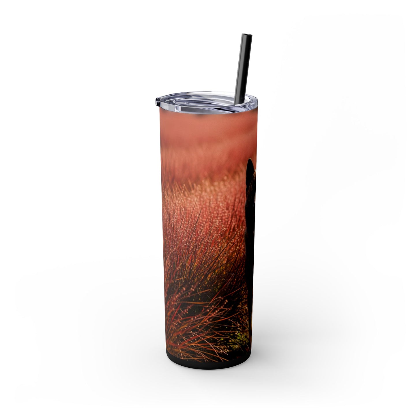 Kai Ken Tumbler with Straw, 20oz