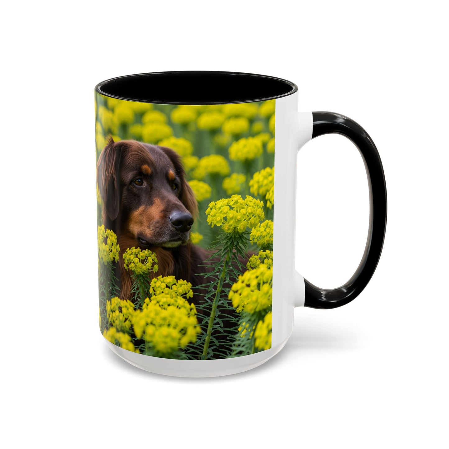 Hovawart Accent Coffee Mug - Perfect Gift for Dog Lovers