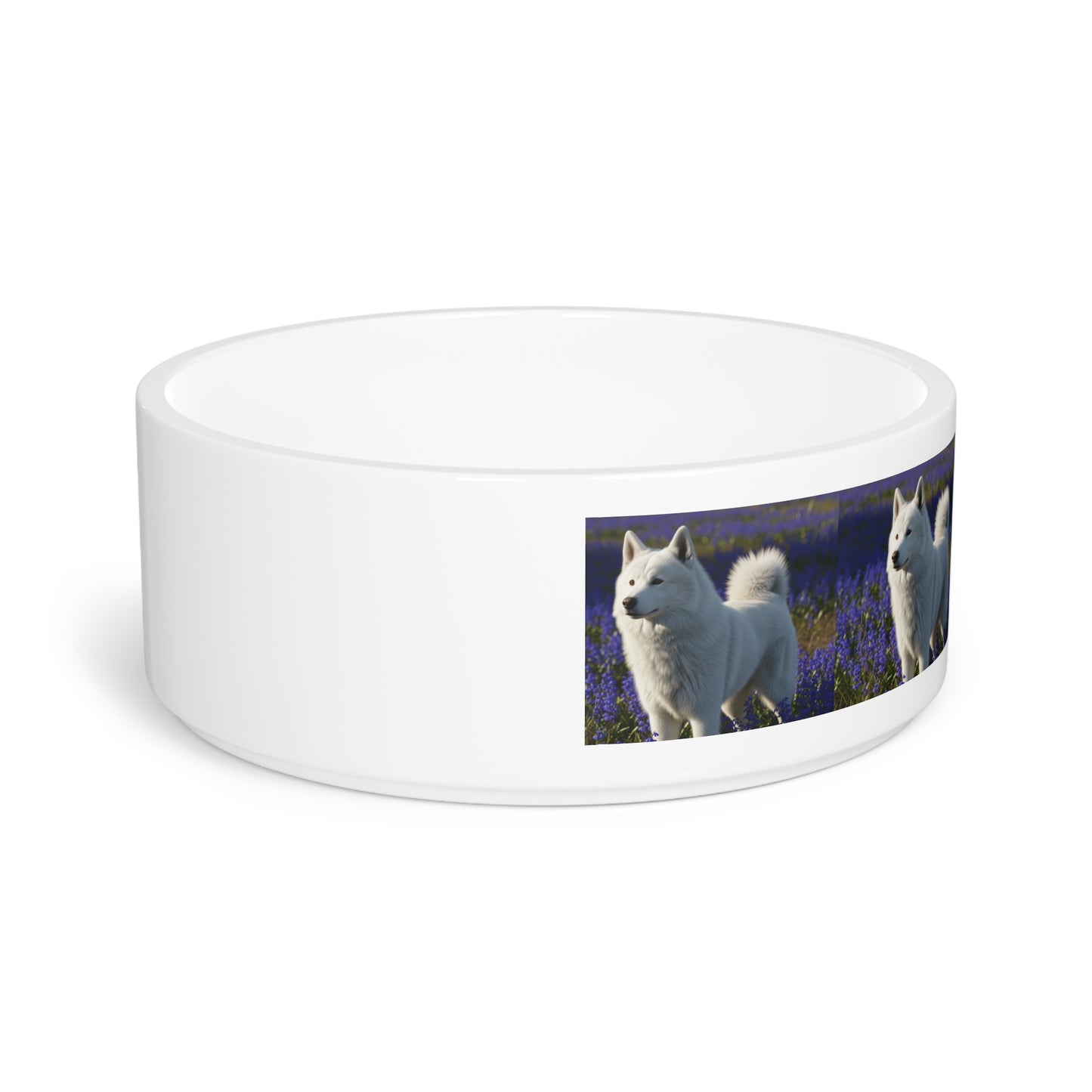 Yakutian Laikas Pet Bowl