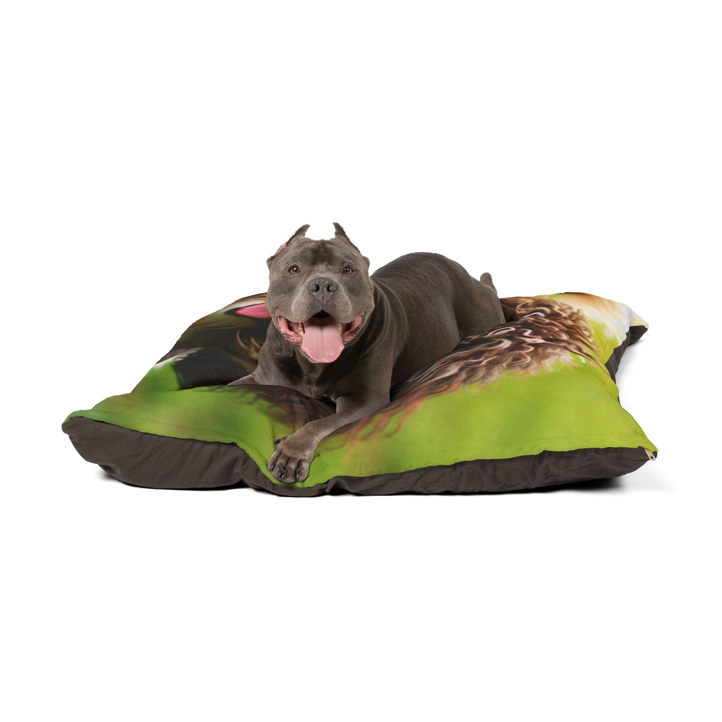 Spanish Water Dog Pet Bed