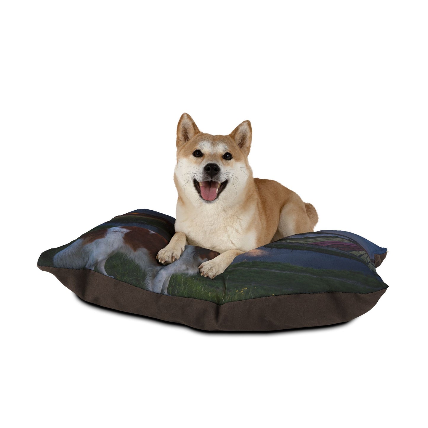 Nederlandse Kooikerhondje Pet Bed