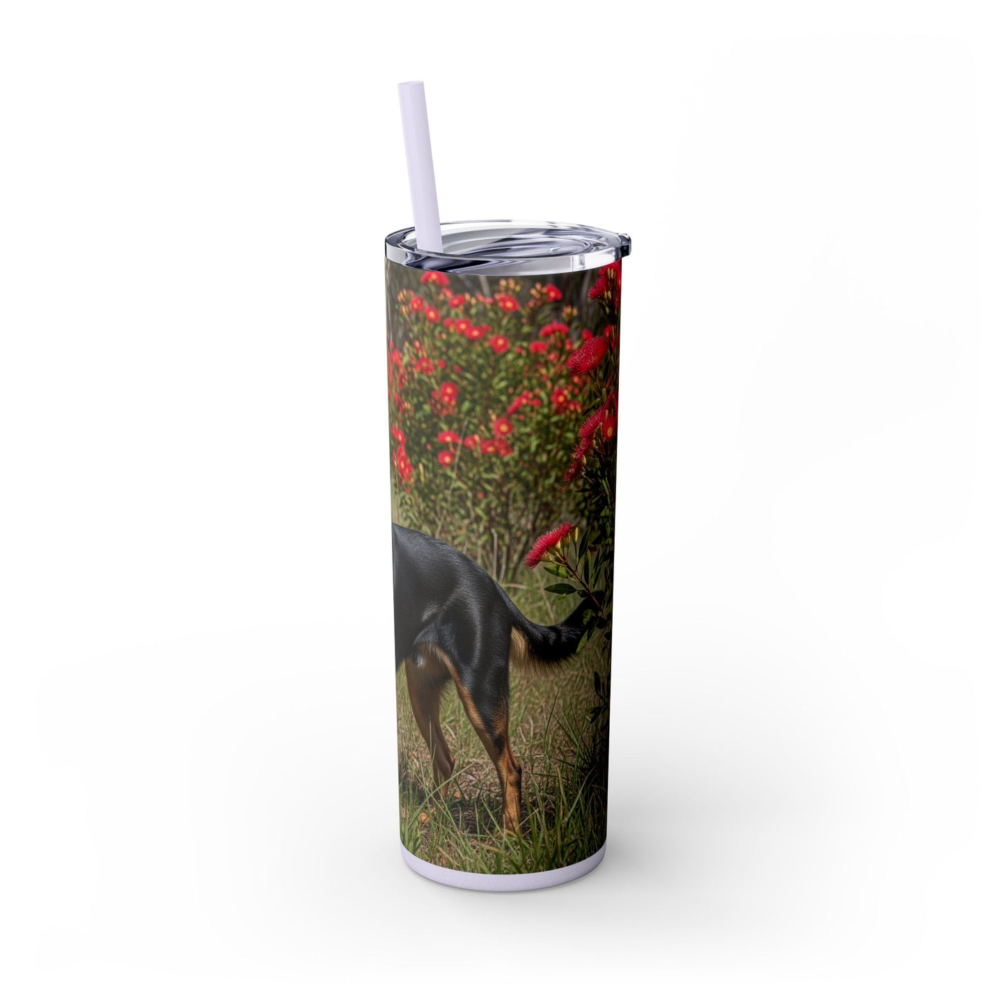 Australian Kelpie Tumbler with Straw, 20oz