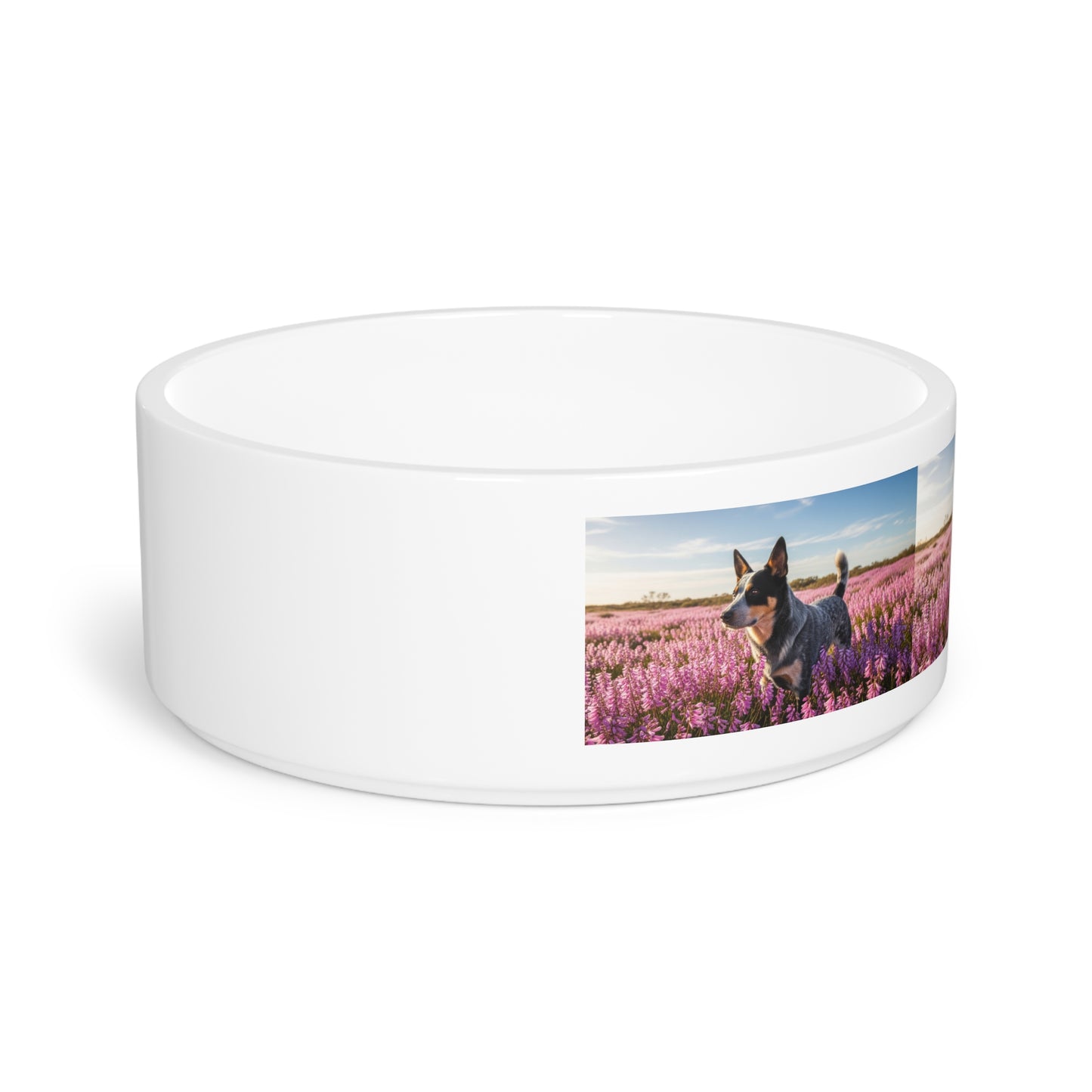 Australian Stumpy Tail Cattle Dog Pet Bowl