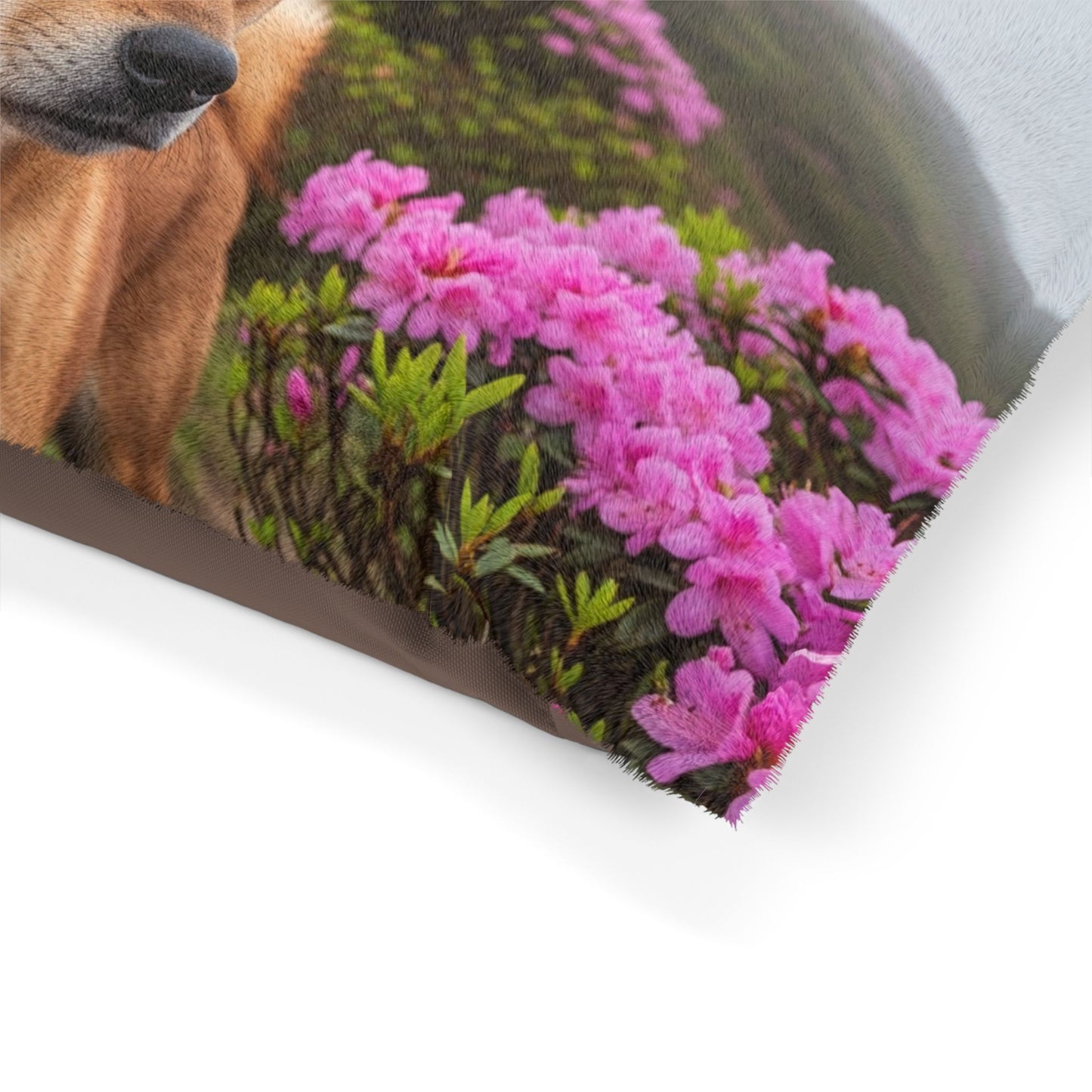 Taiwan Dog Pet Bed