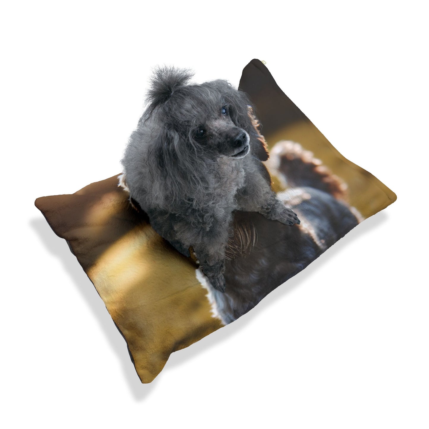 Cesky Terrier Pet Bed