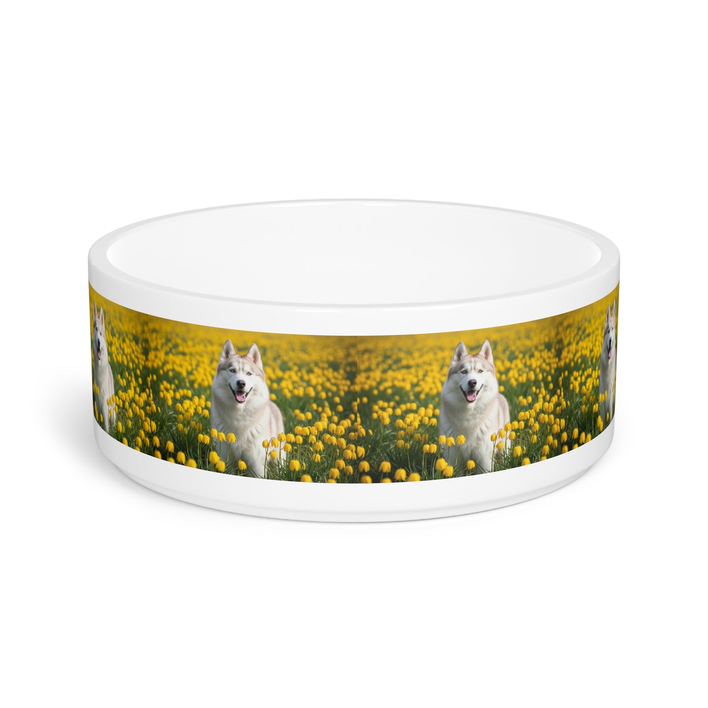 Siberian Husky Pet Bowl