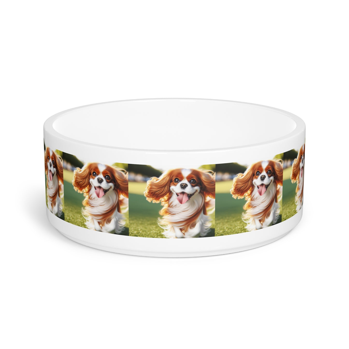 Cavalier King Charles Spaniel Pet Bowl