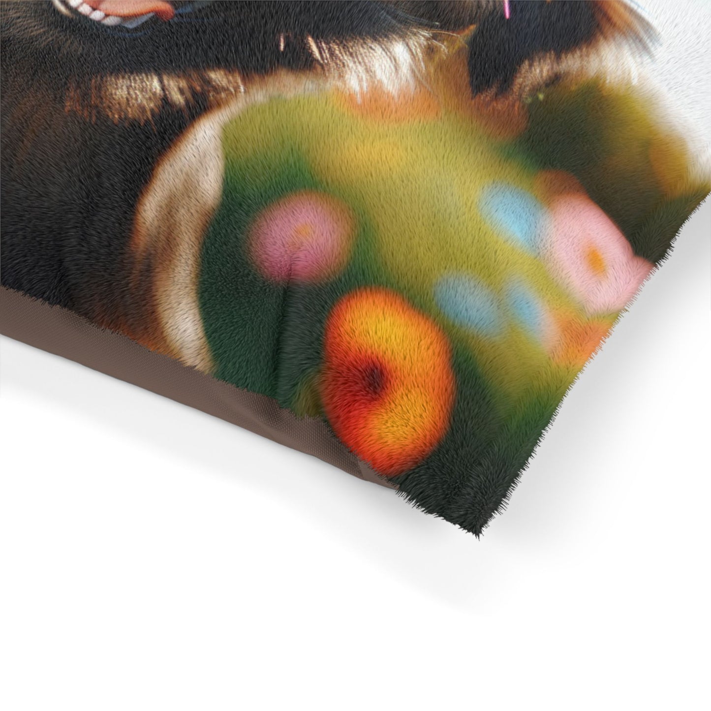 Griffon Bruxellois Pet Bed