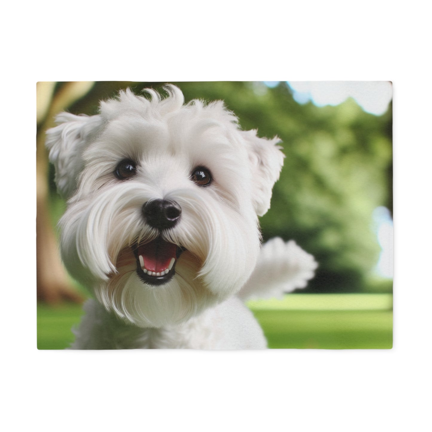 Sealyham Terrier Sweatshirt Blanket