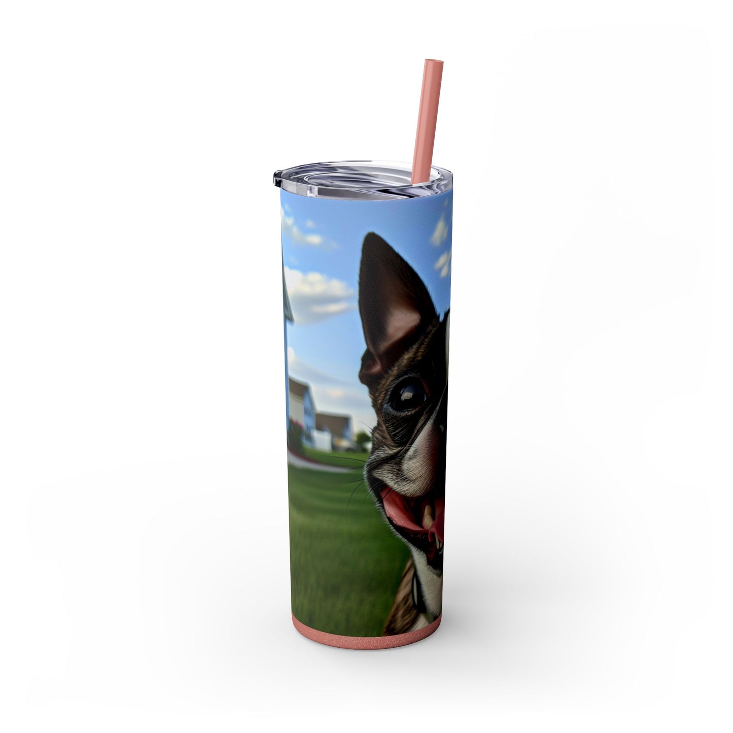 Boston Terrier Tumbler with Straw, 20oz