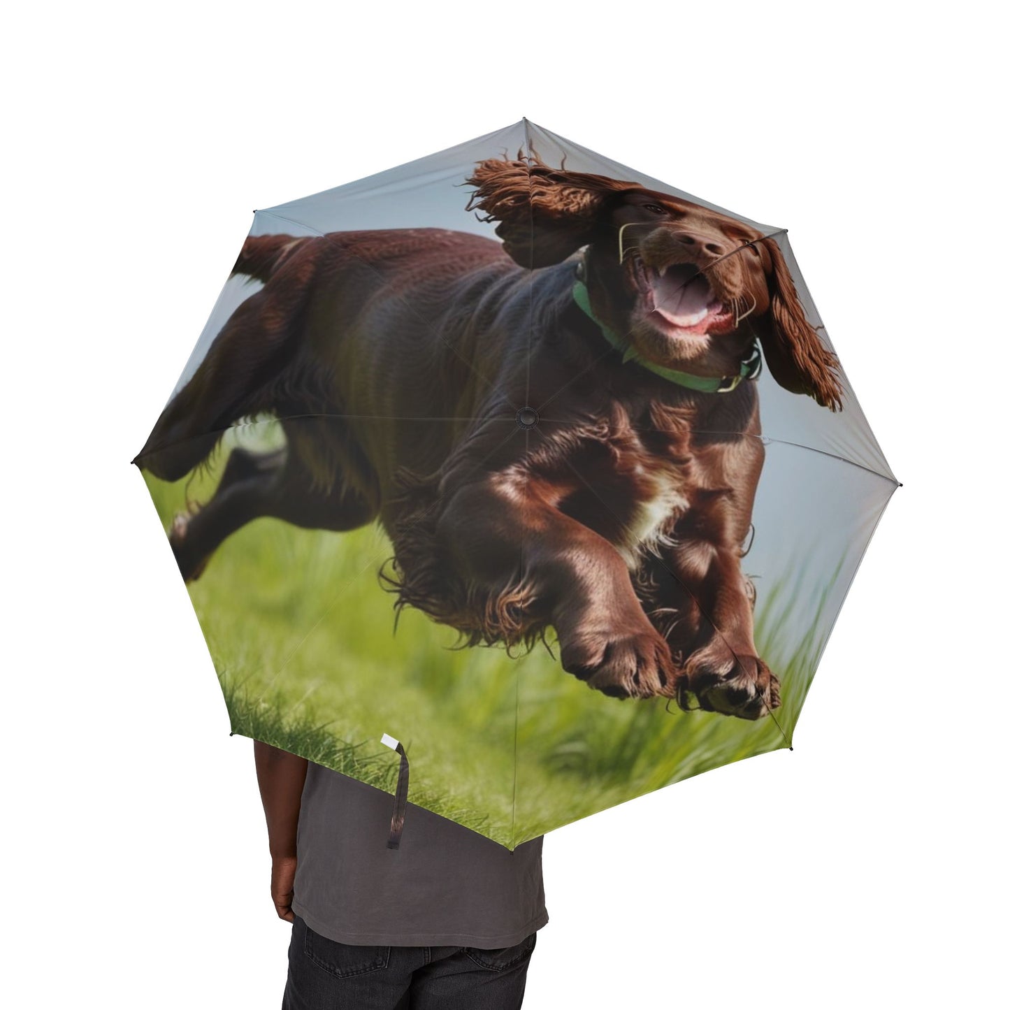 Irish Water Spaniel Semi-Automatic Foldable Umbrella