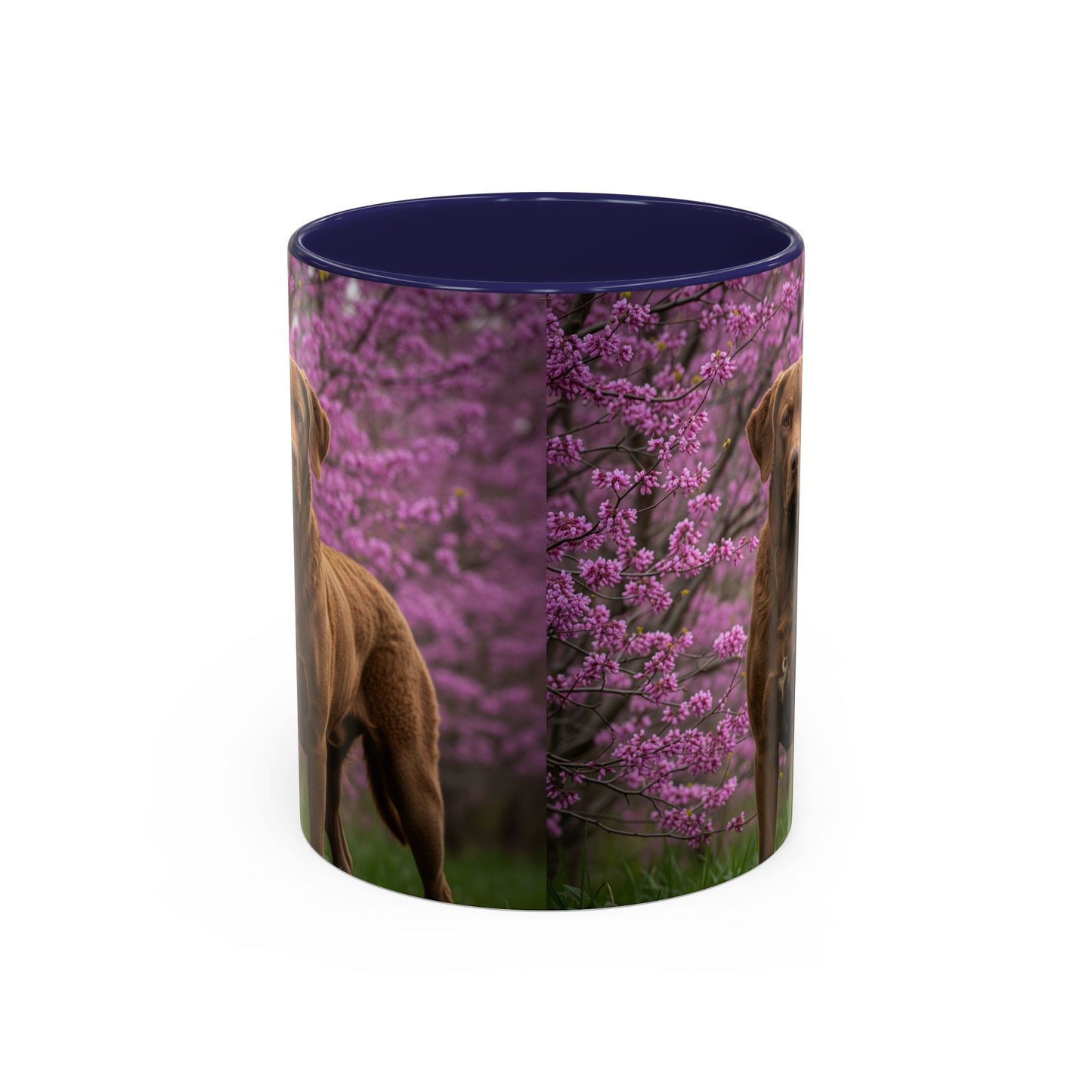 Chesapeake Bay Retriever Accent Coffee Mug - Perfect Gift for Dog Lovers