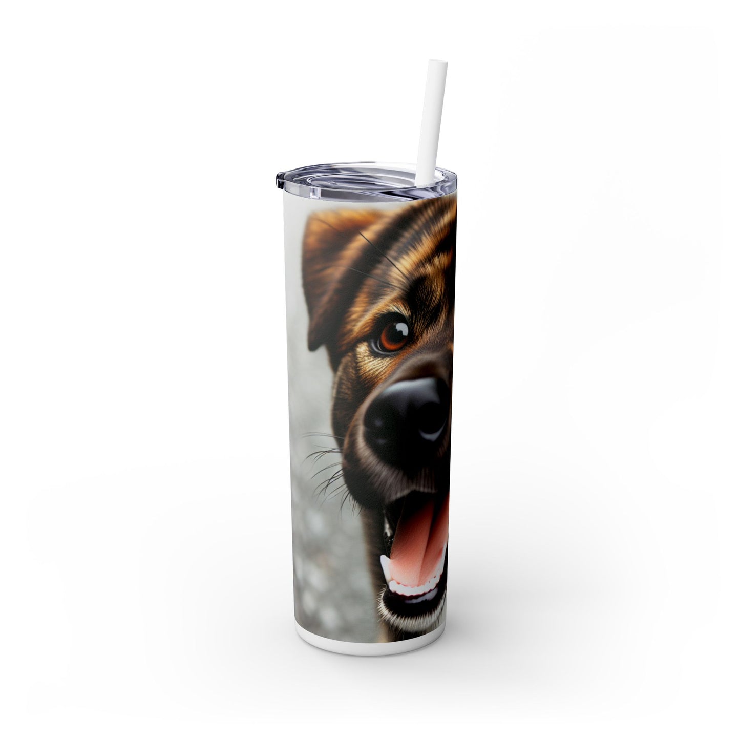 Kai Ken Tumbler with Straw, 20oz