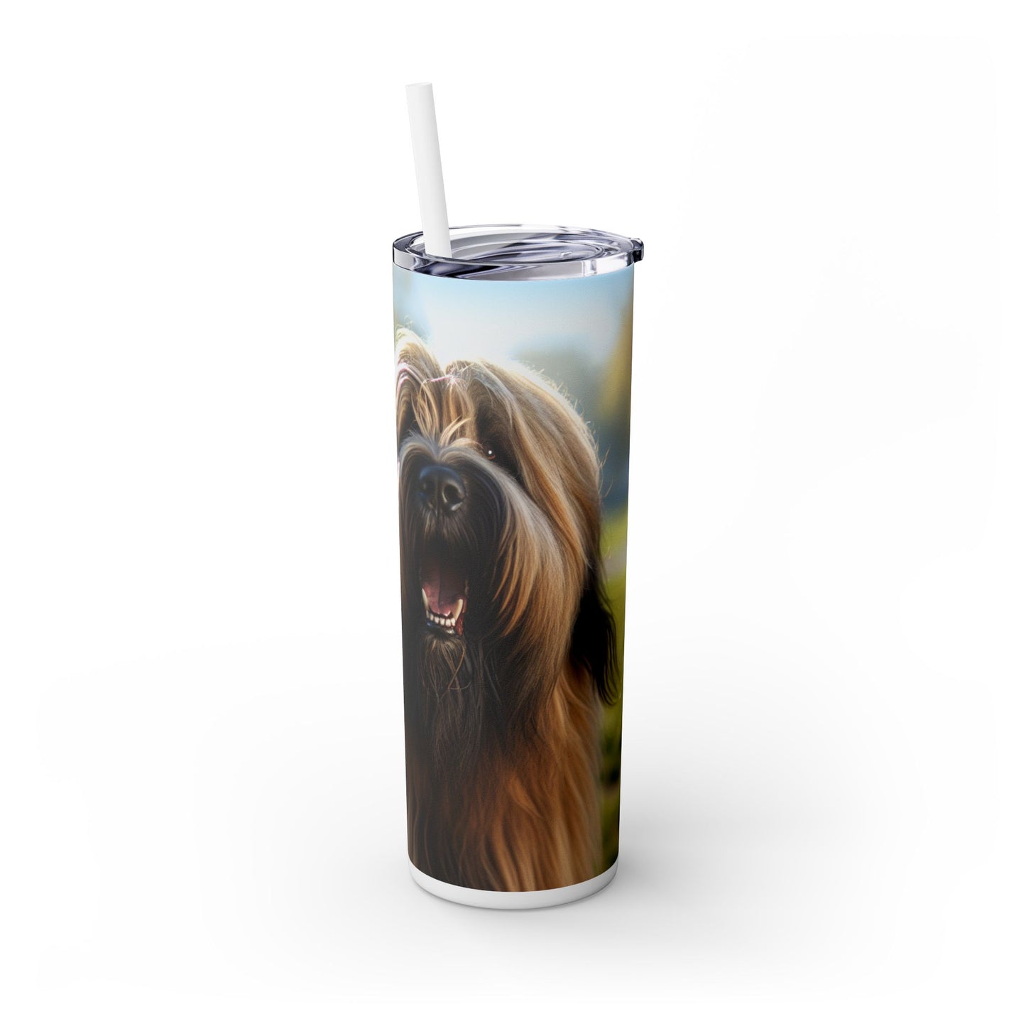 Briard Tumbler with Straw, 20oz