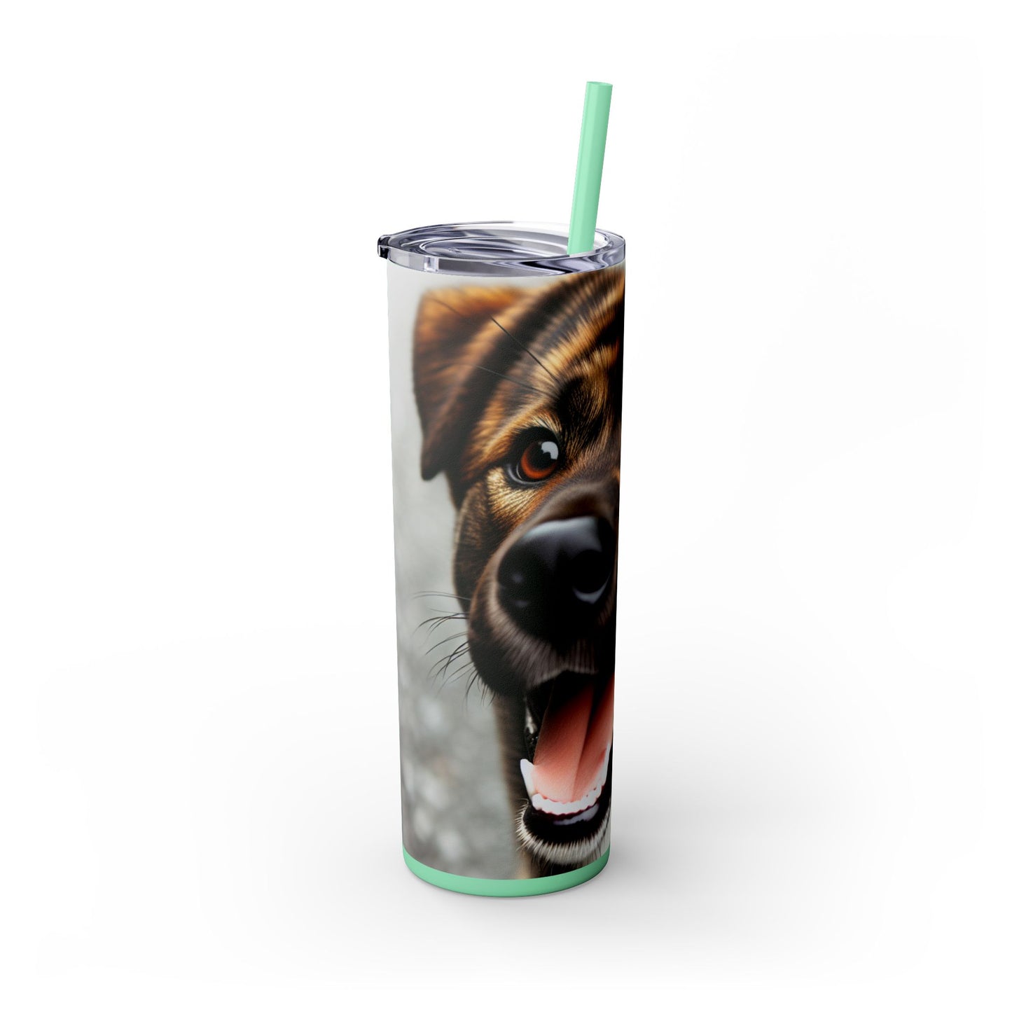 Kai Ken Tumbler with Straw, 20oz